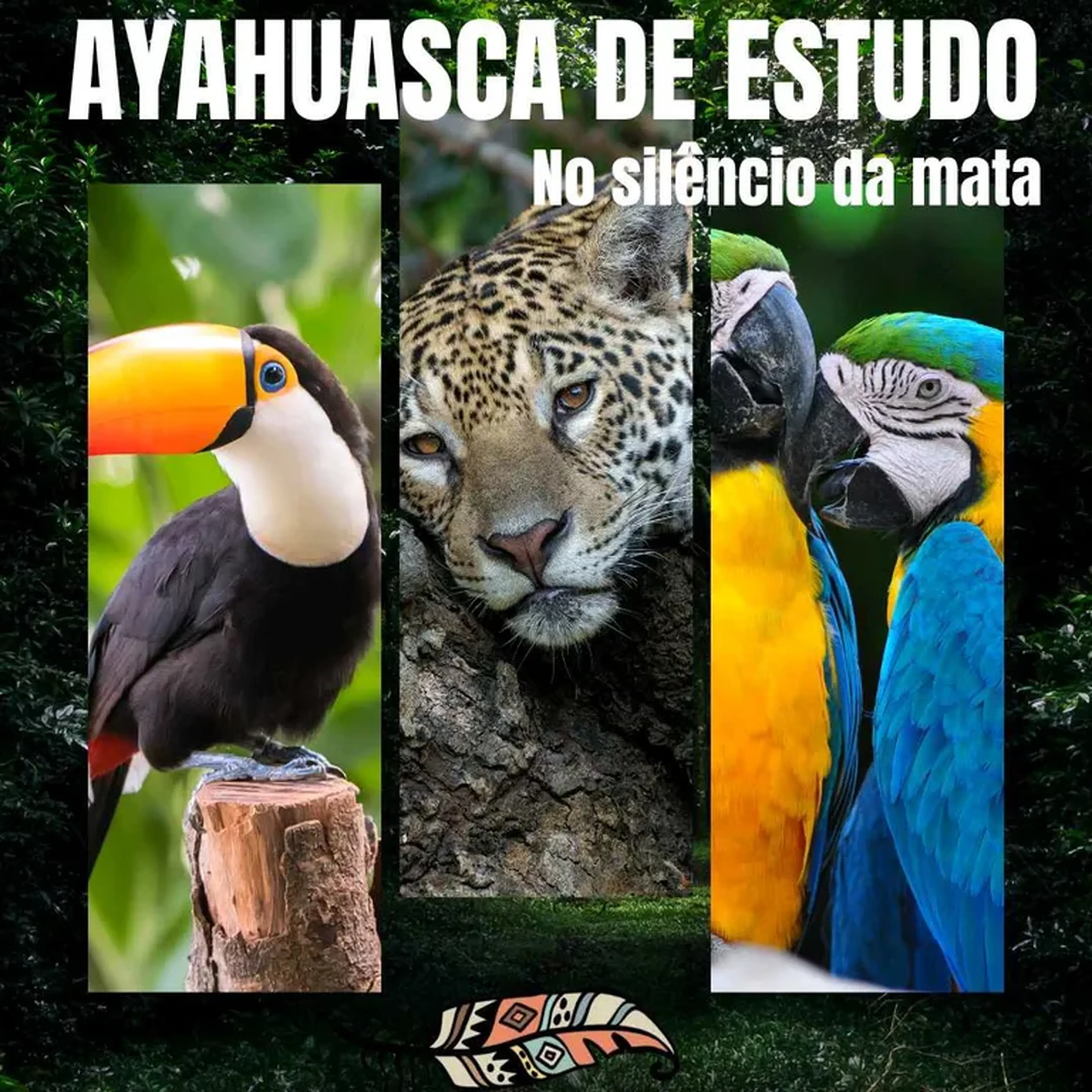 Cerimônia com Ayahuasca no silêncio da mata - 01 de novembro 14h imagem