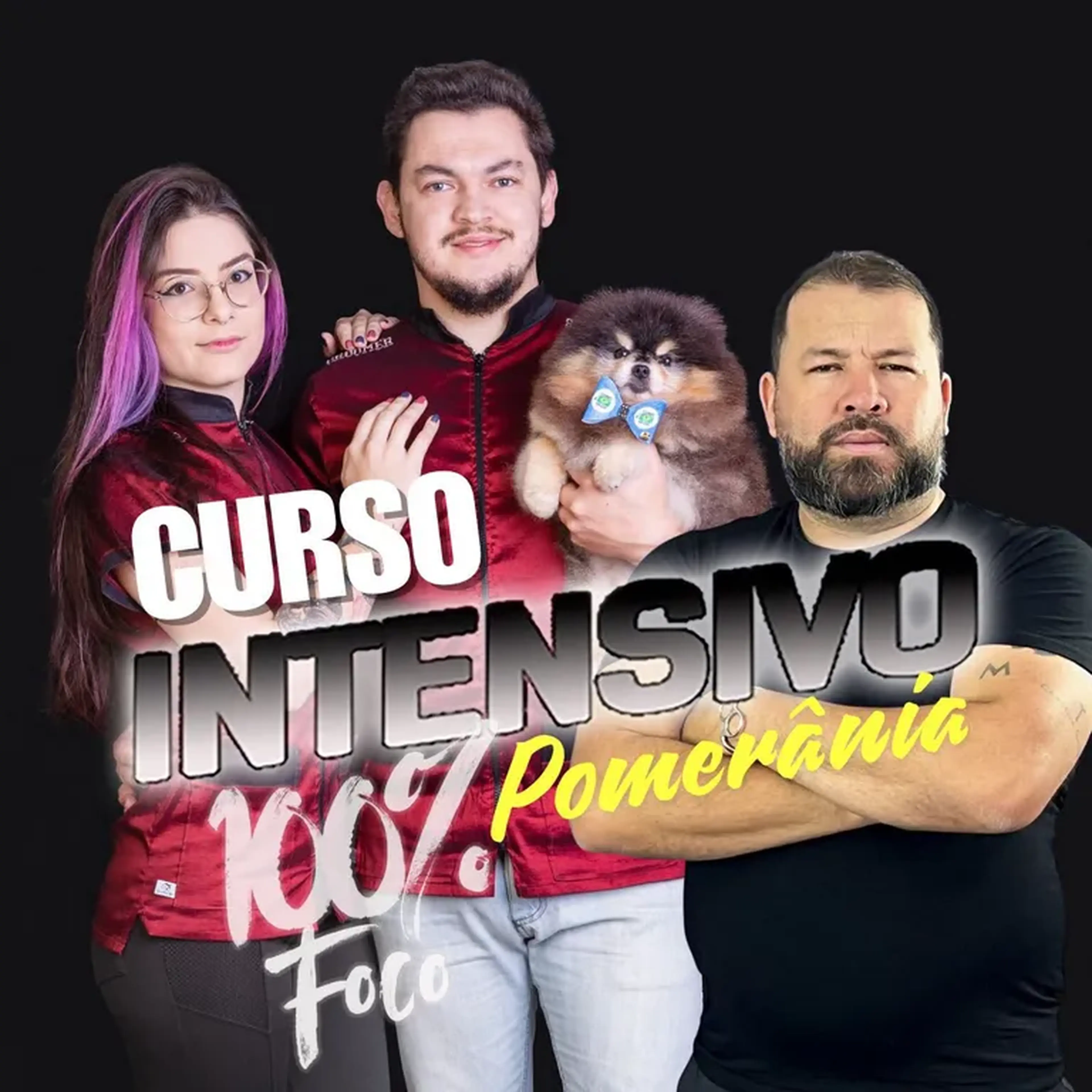 Curso intensivo 100% Spitz imagem