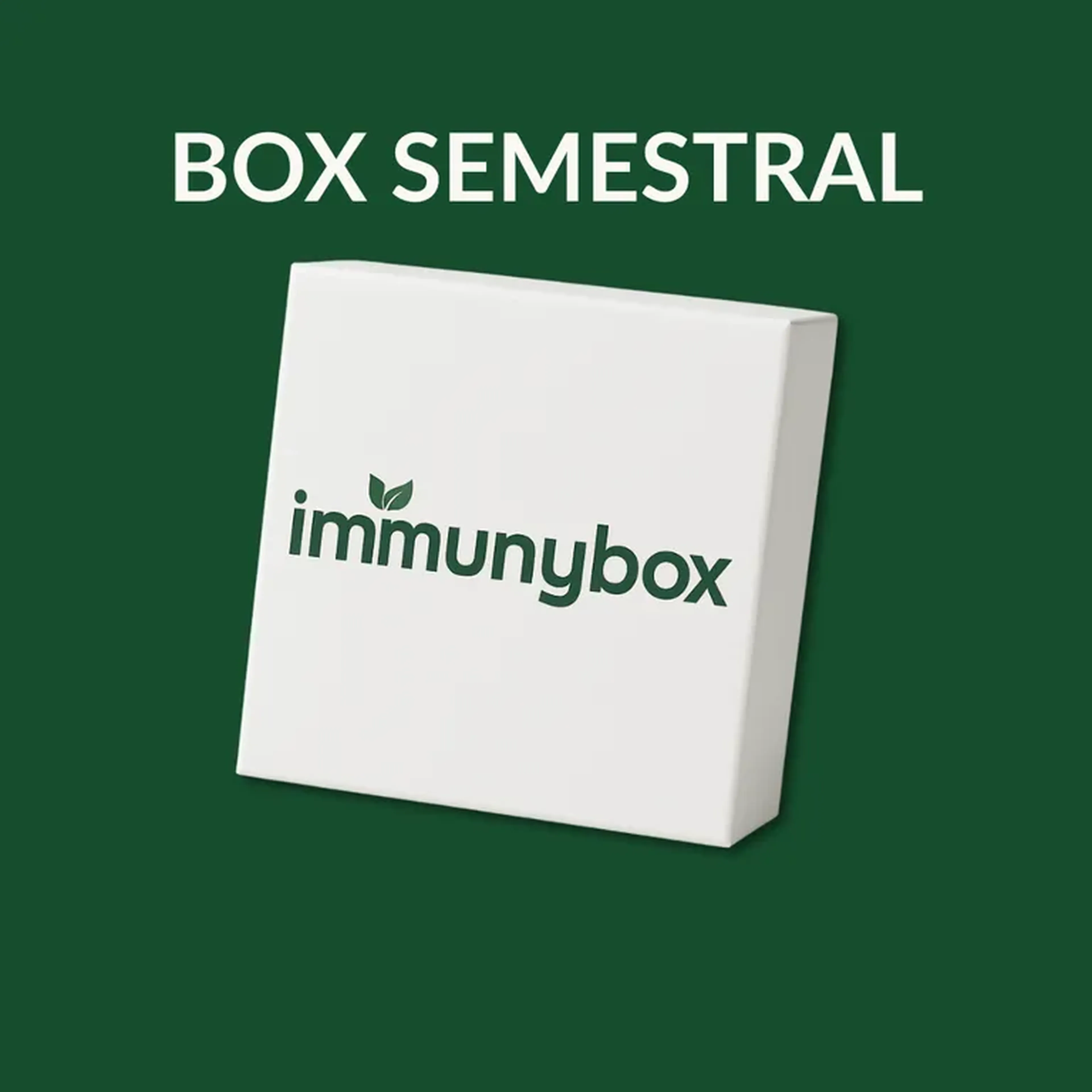 Box Semestral imagem