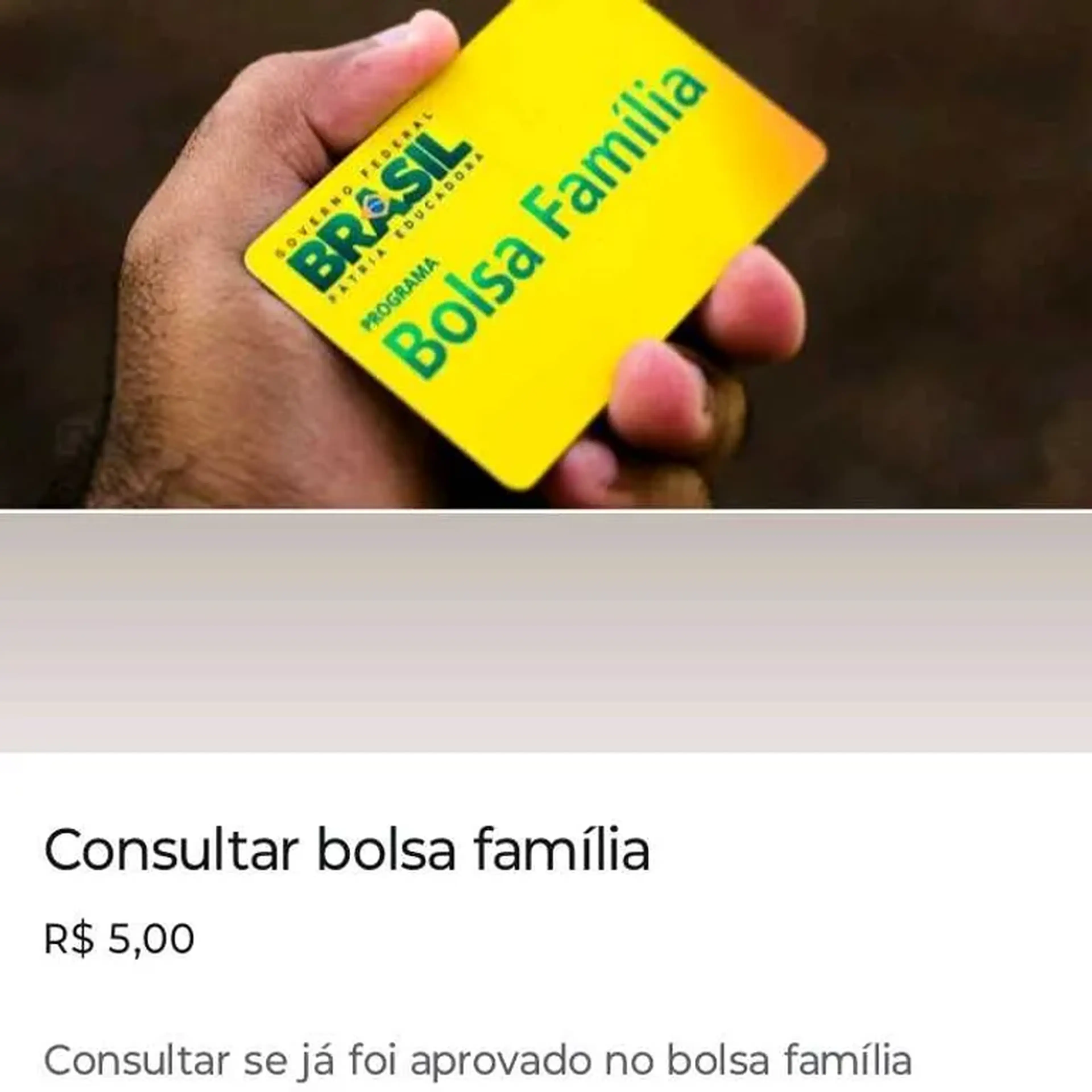 saber se foi aprovado bolsa imagem
