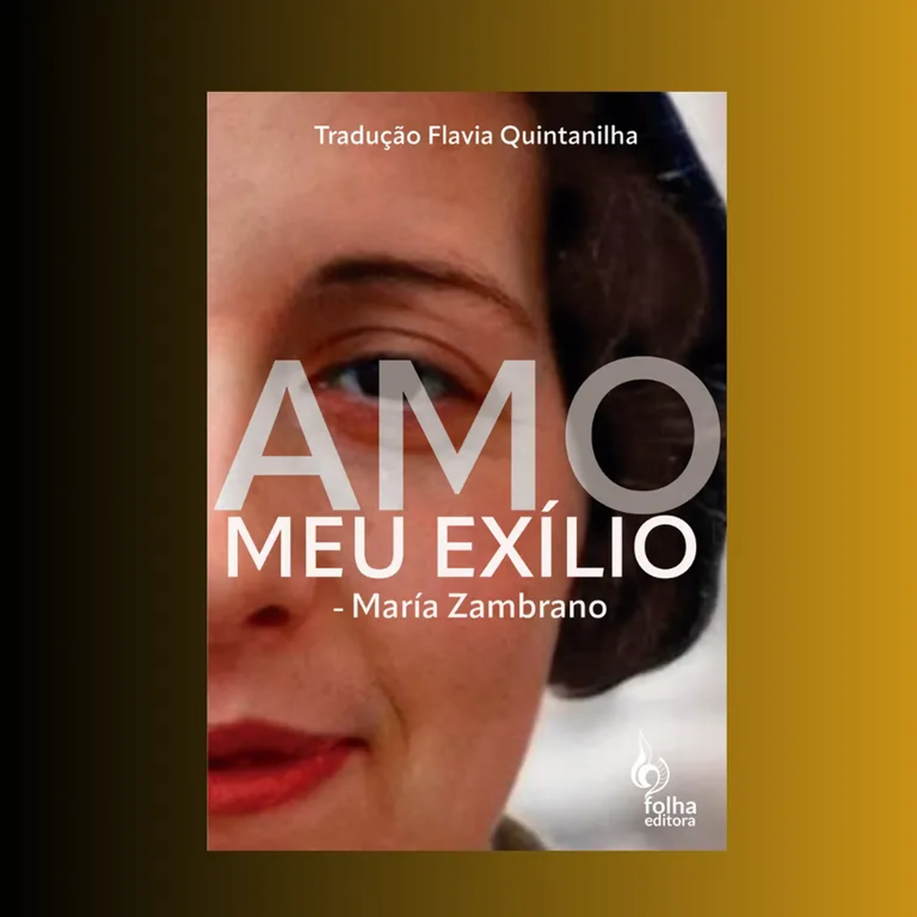 Amo meu exílio [livro + aula] imagem
