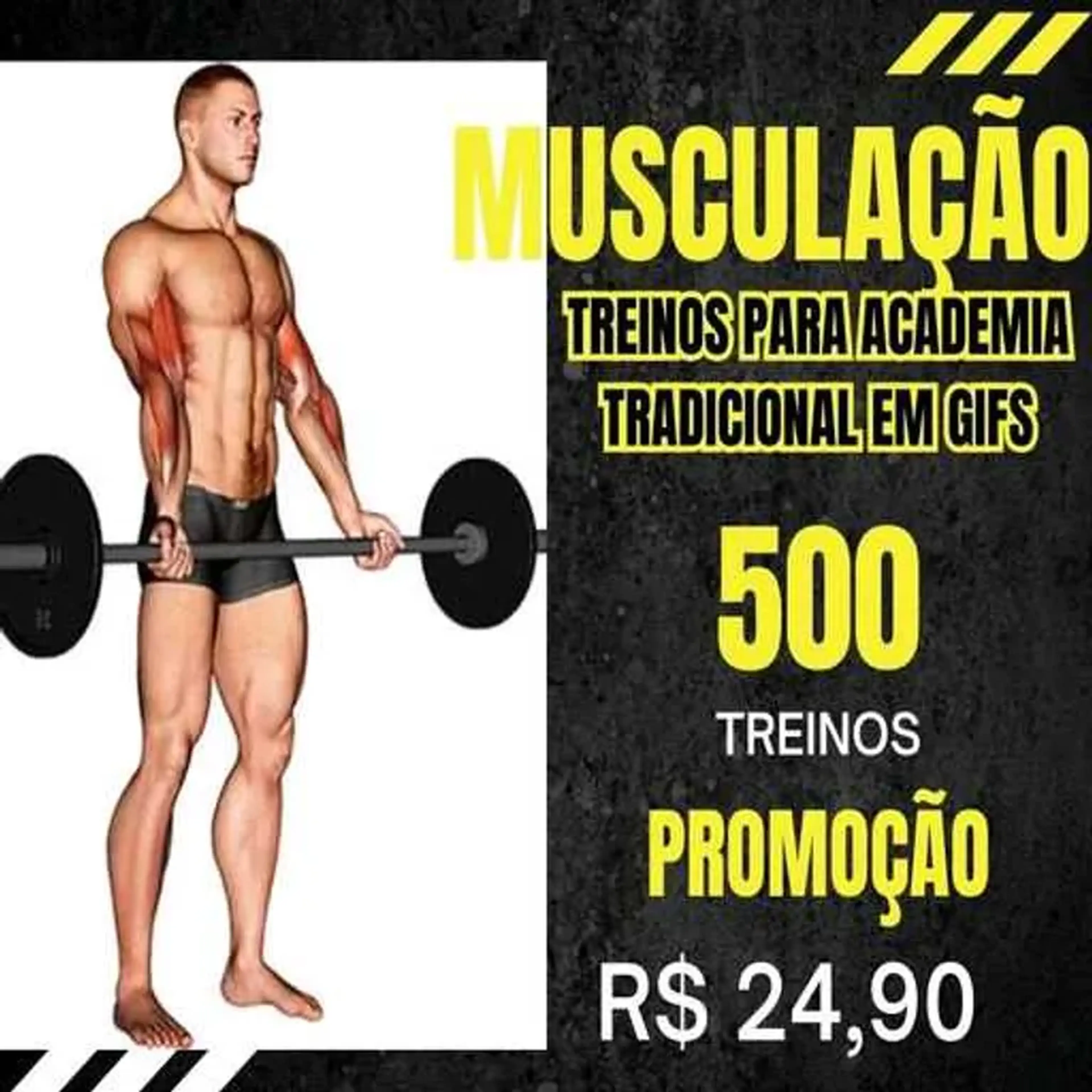 TREINO DE MUSCULAÇÃO imagem