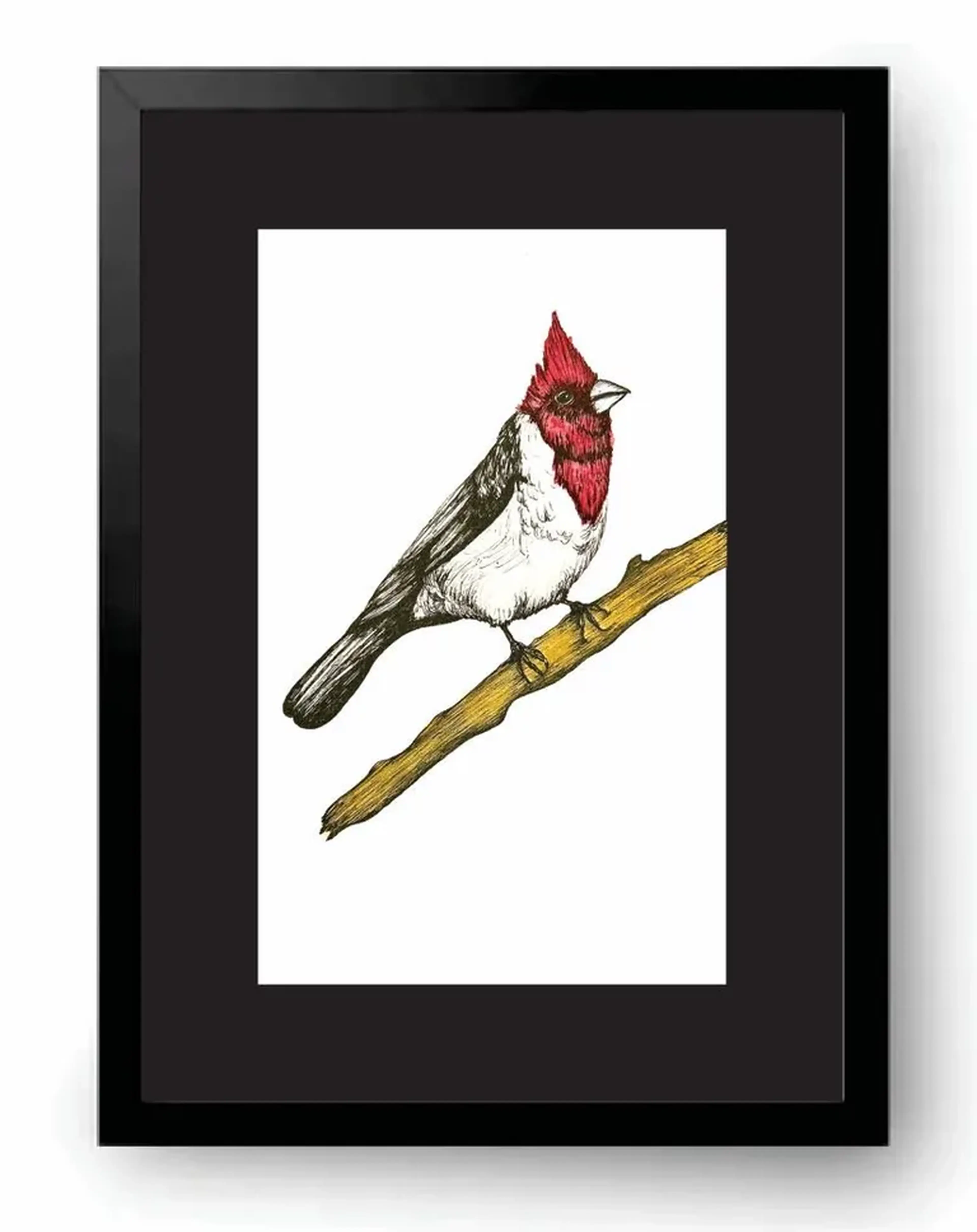 Cardeal - 33cm x 24cm imagem