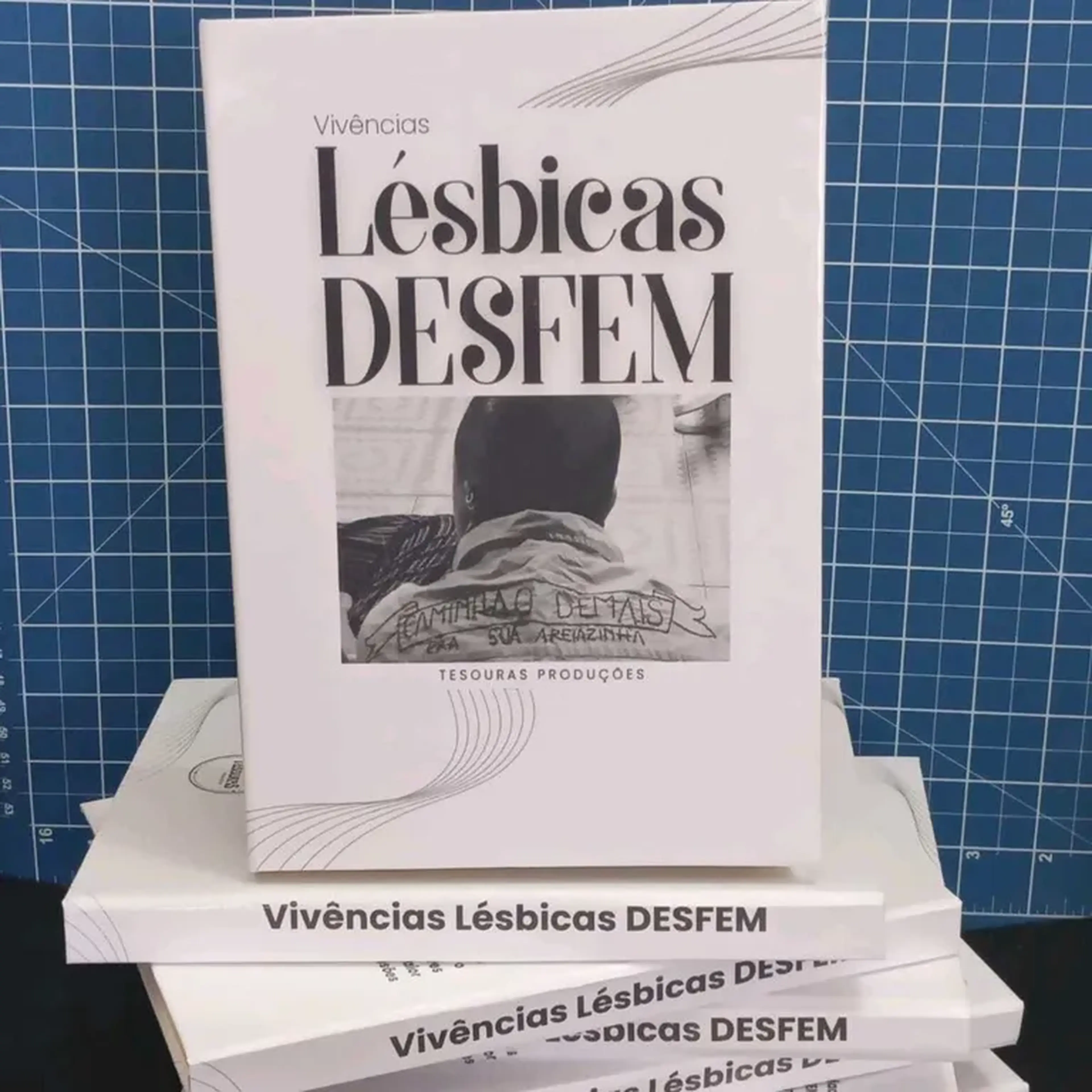 vivencias lésbicas DESFEM capa dura imagem