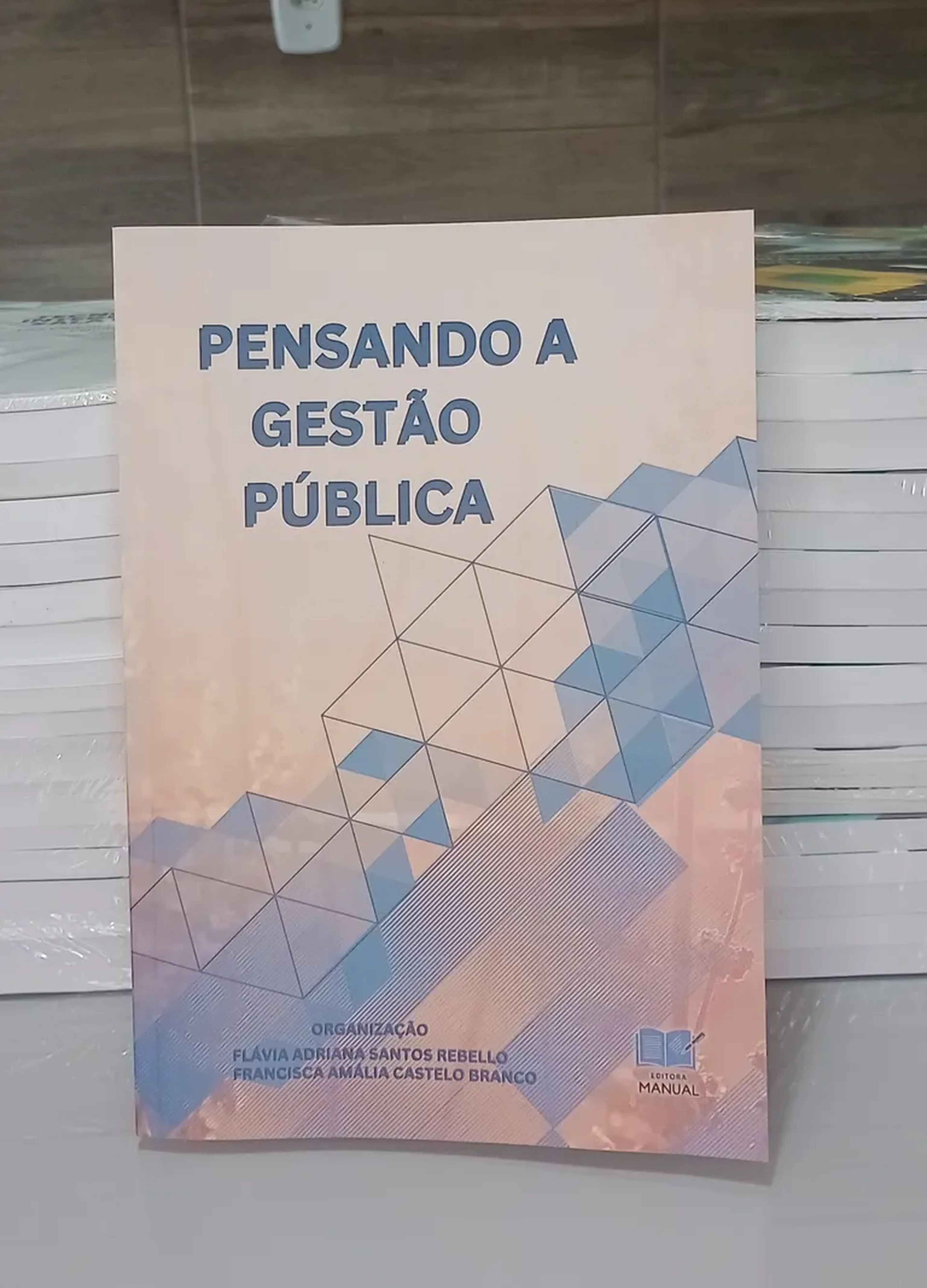 PENSANDO A GESTÃO PÚBLICA imagem