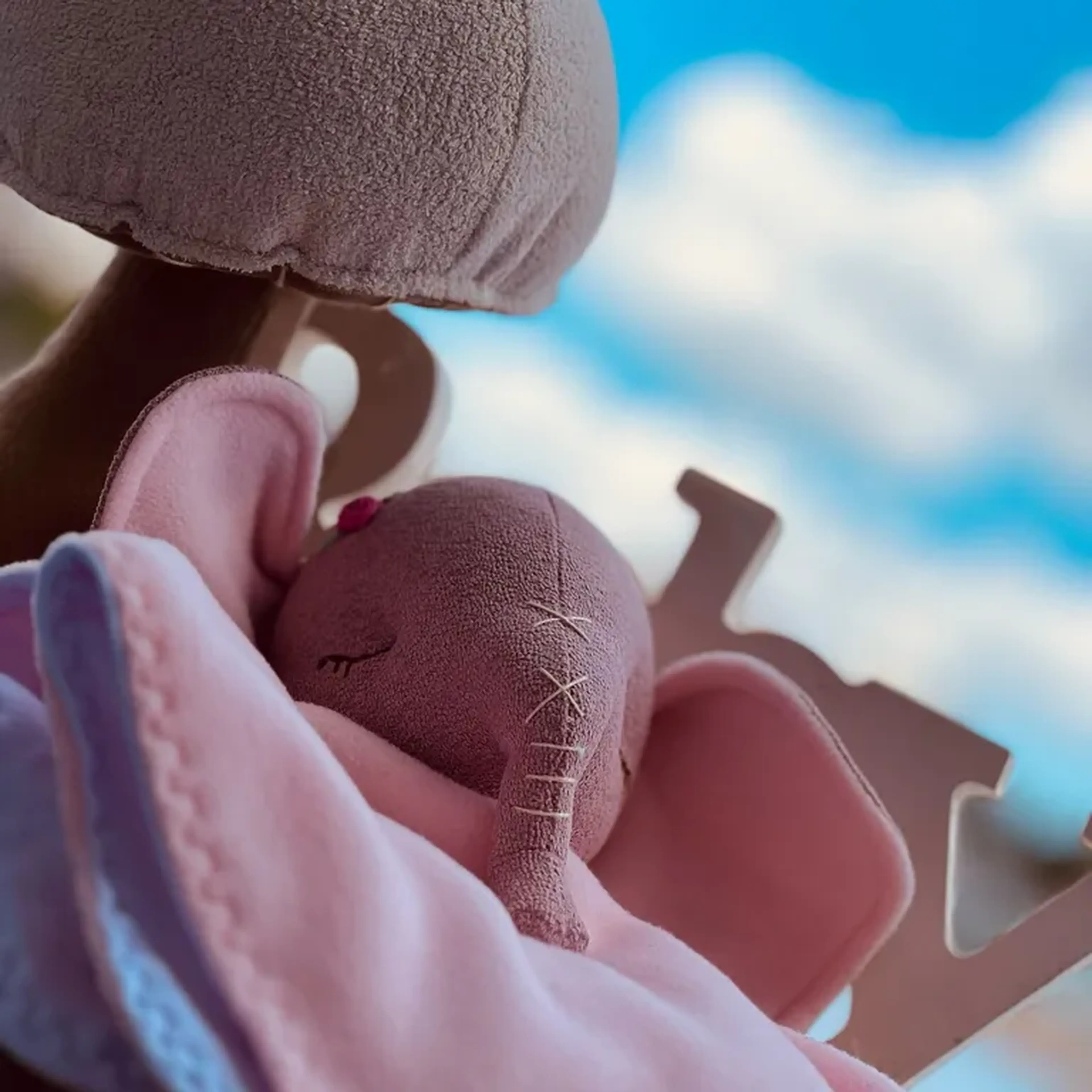 Naninha elefante imagem