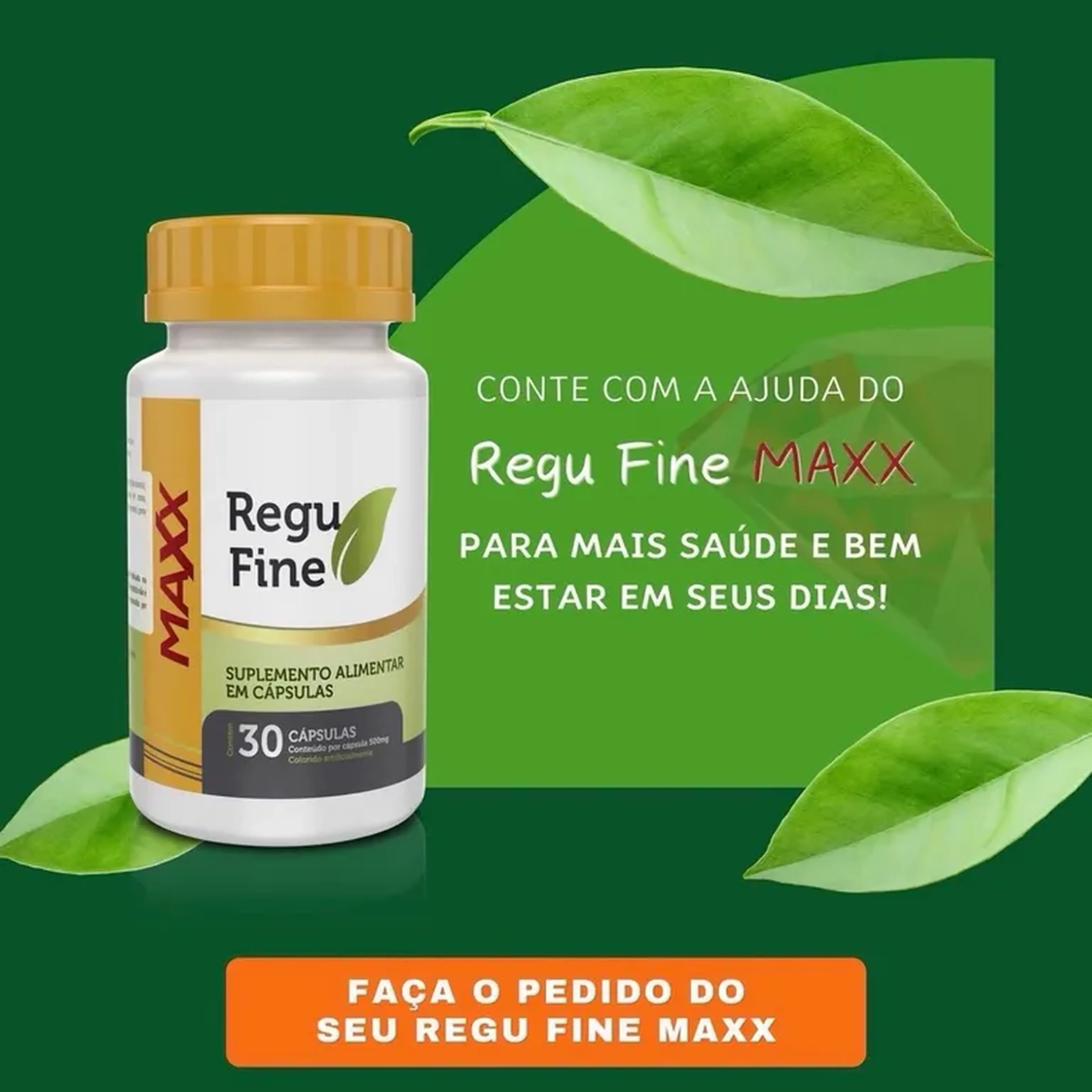 Regu Fine Max imagem