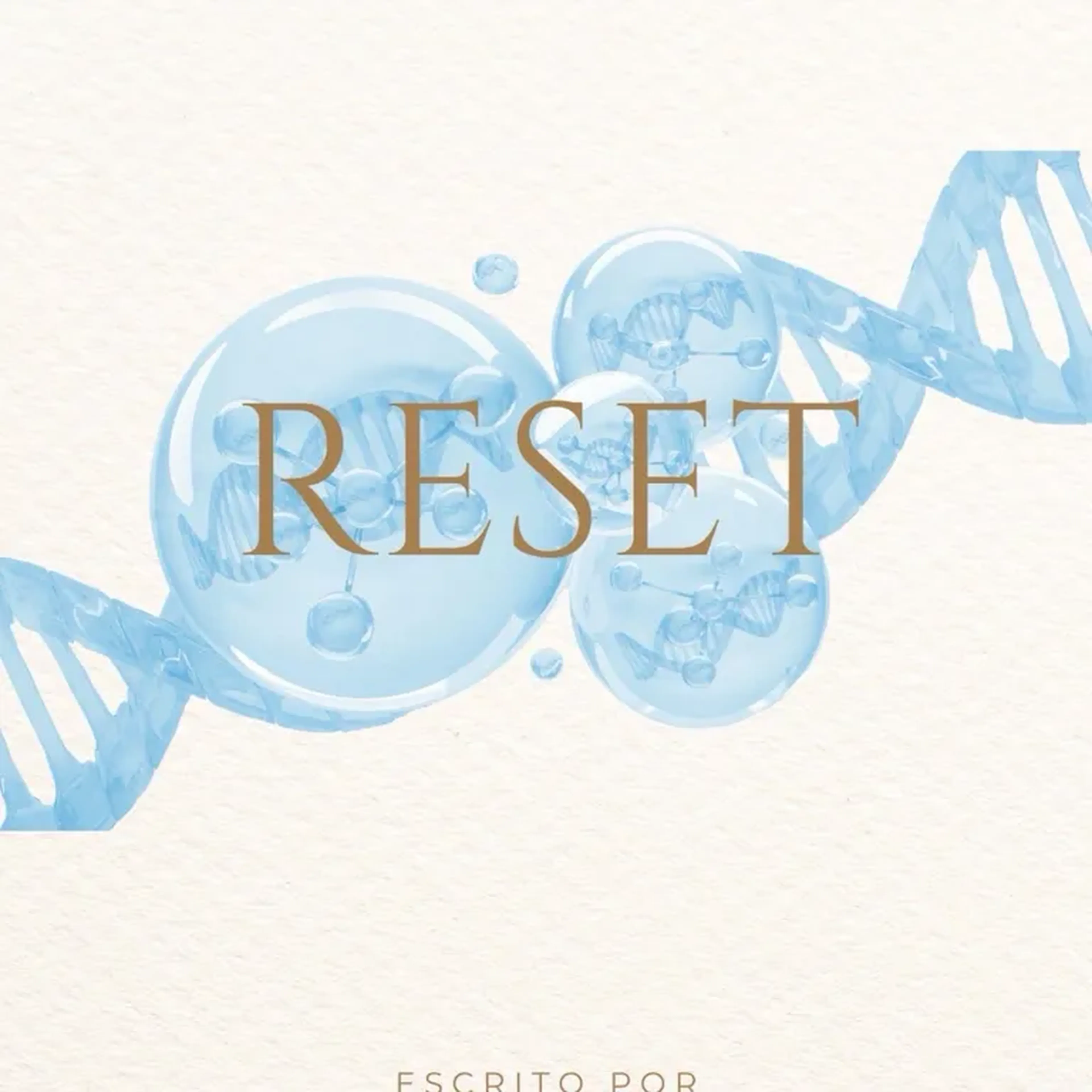 Workbook RESET imagem