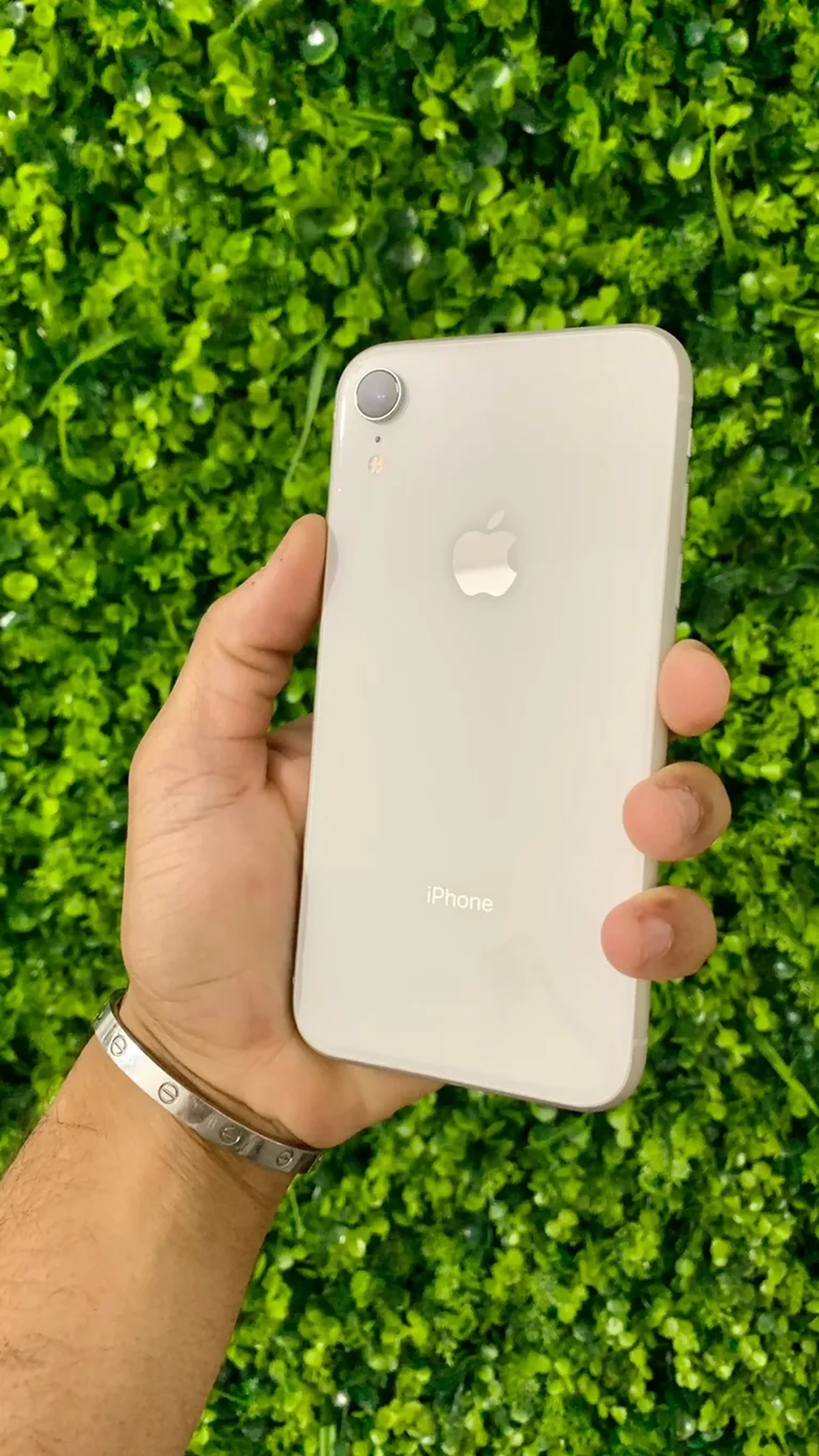 iPhone XR imagem