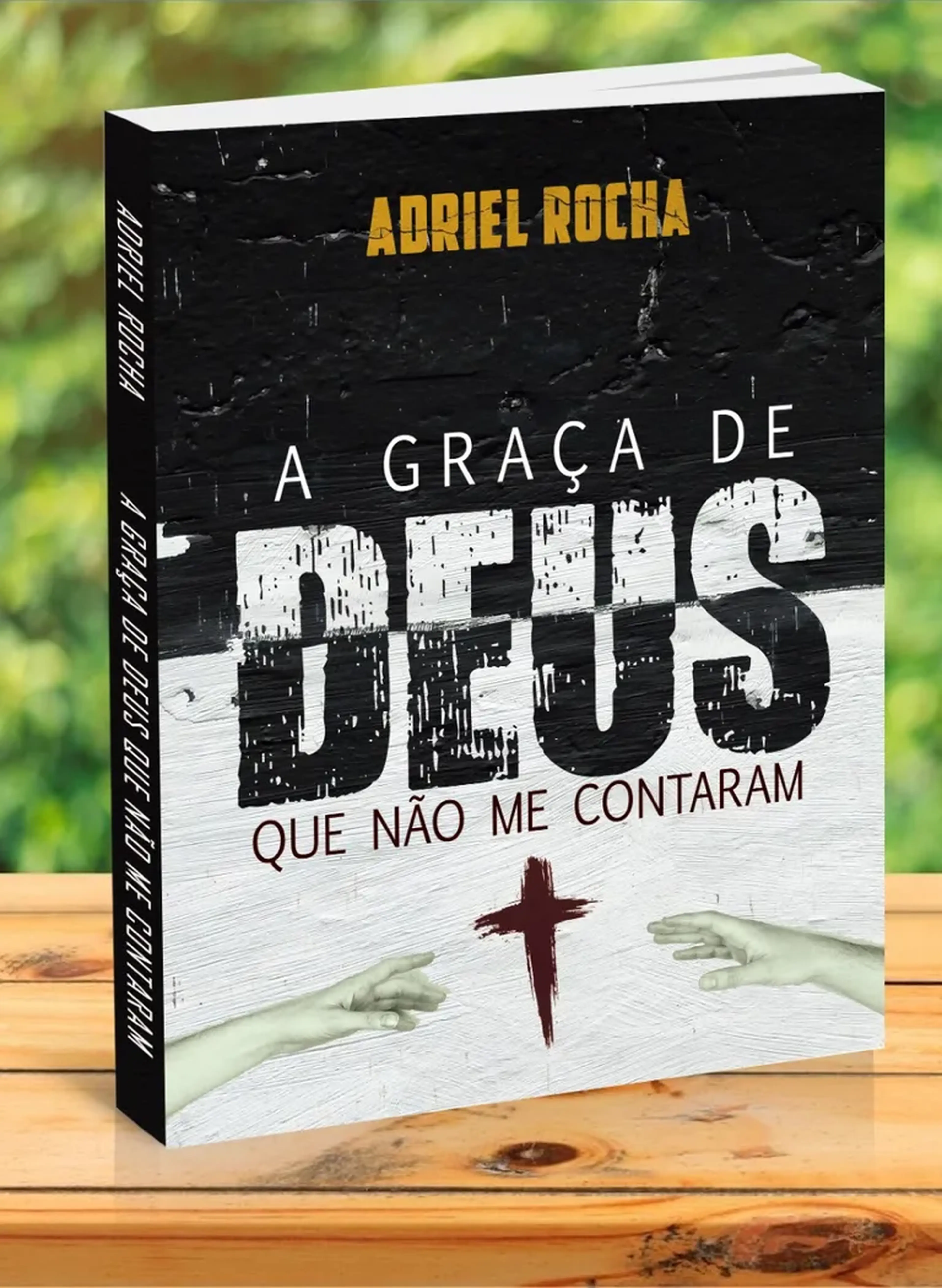 Livro imagem