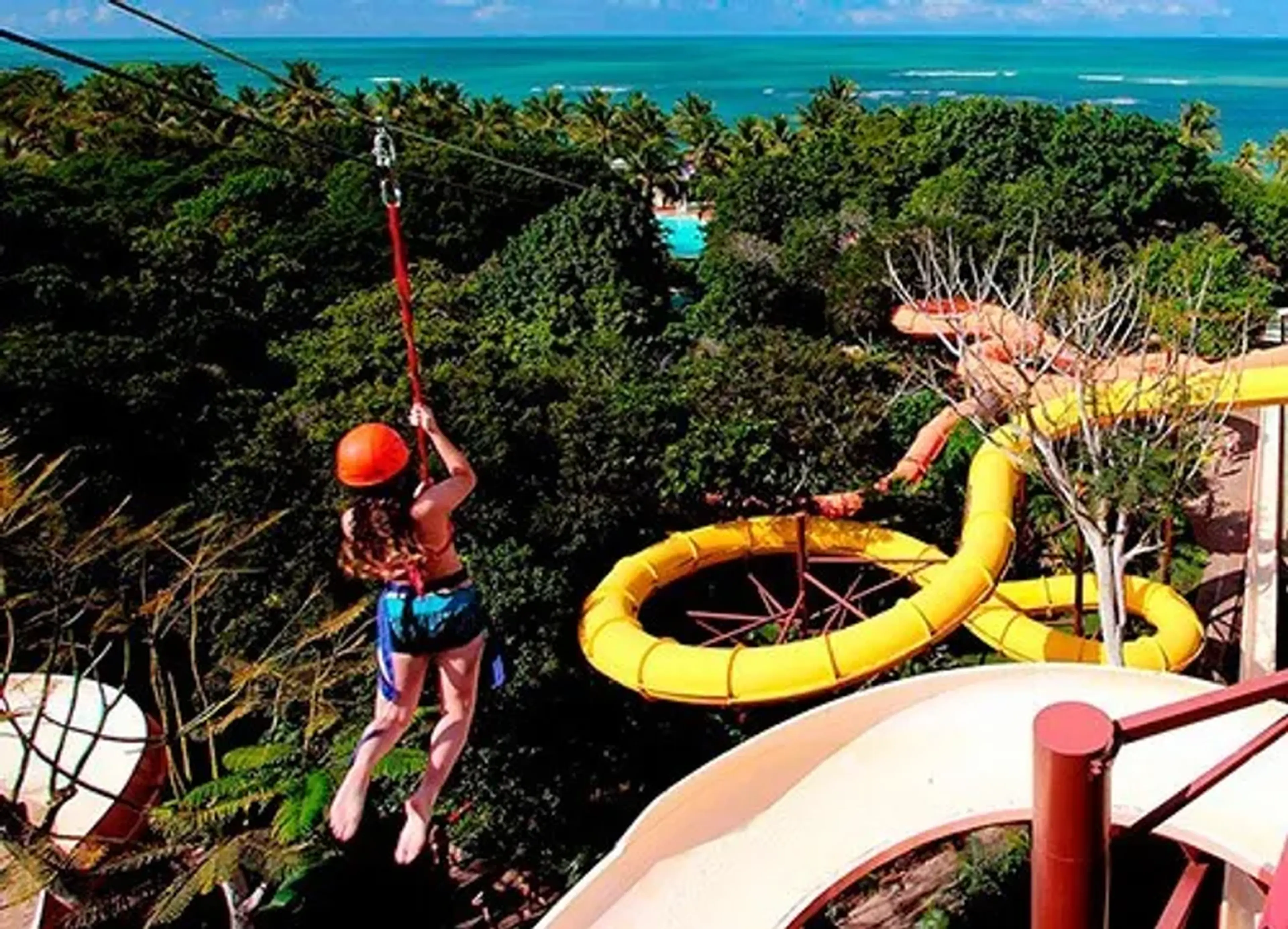 Eco Parque imagem