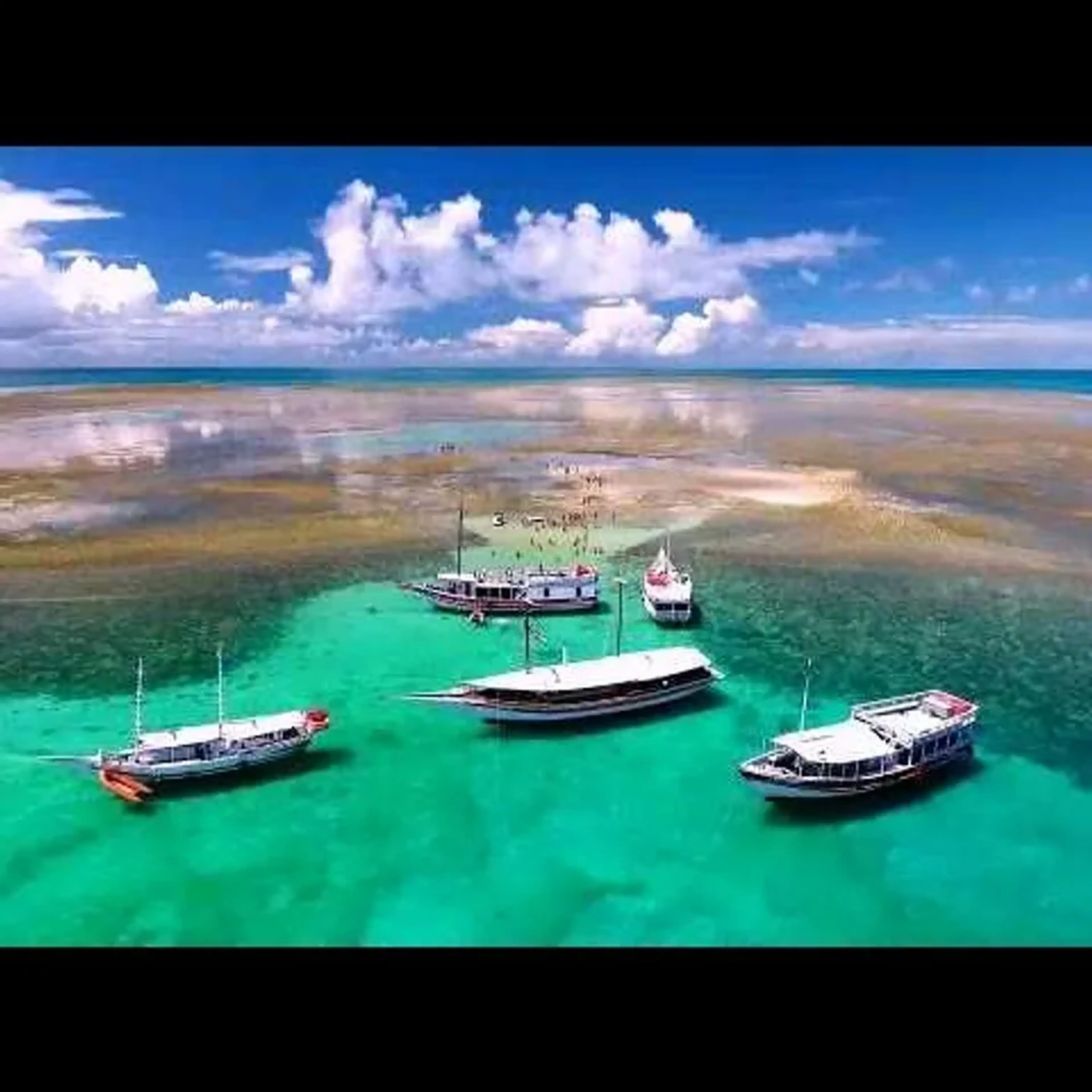 Recife de Fora imagem