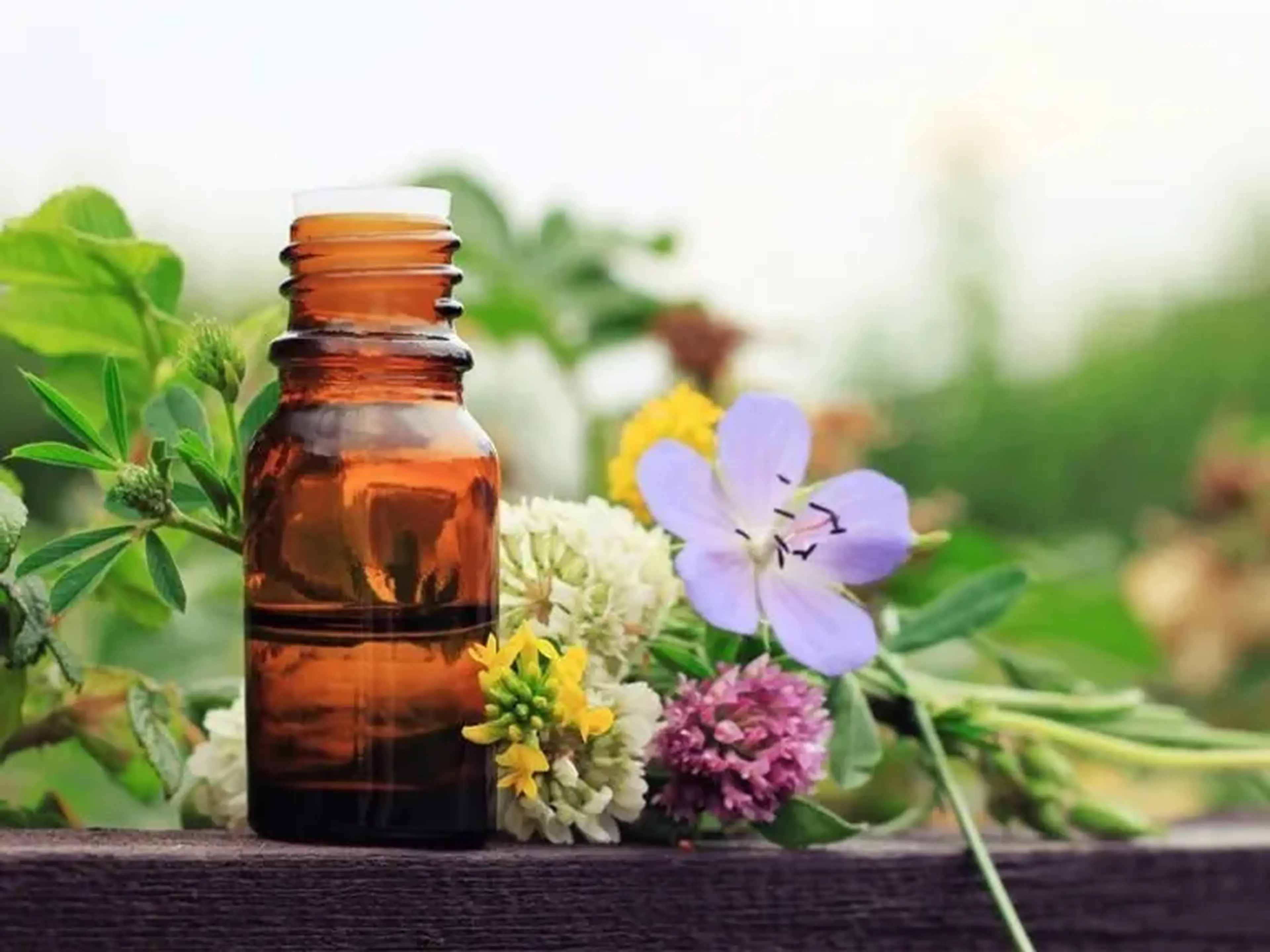 Terapia Floral (Florais de Bach) imagem