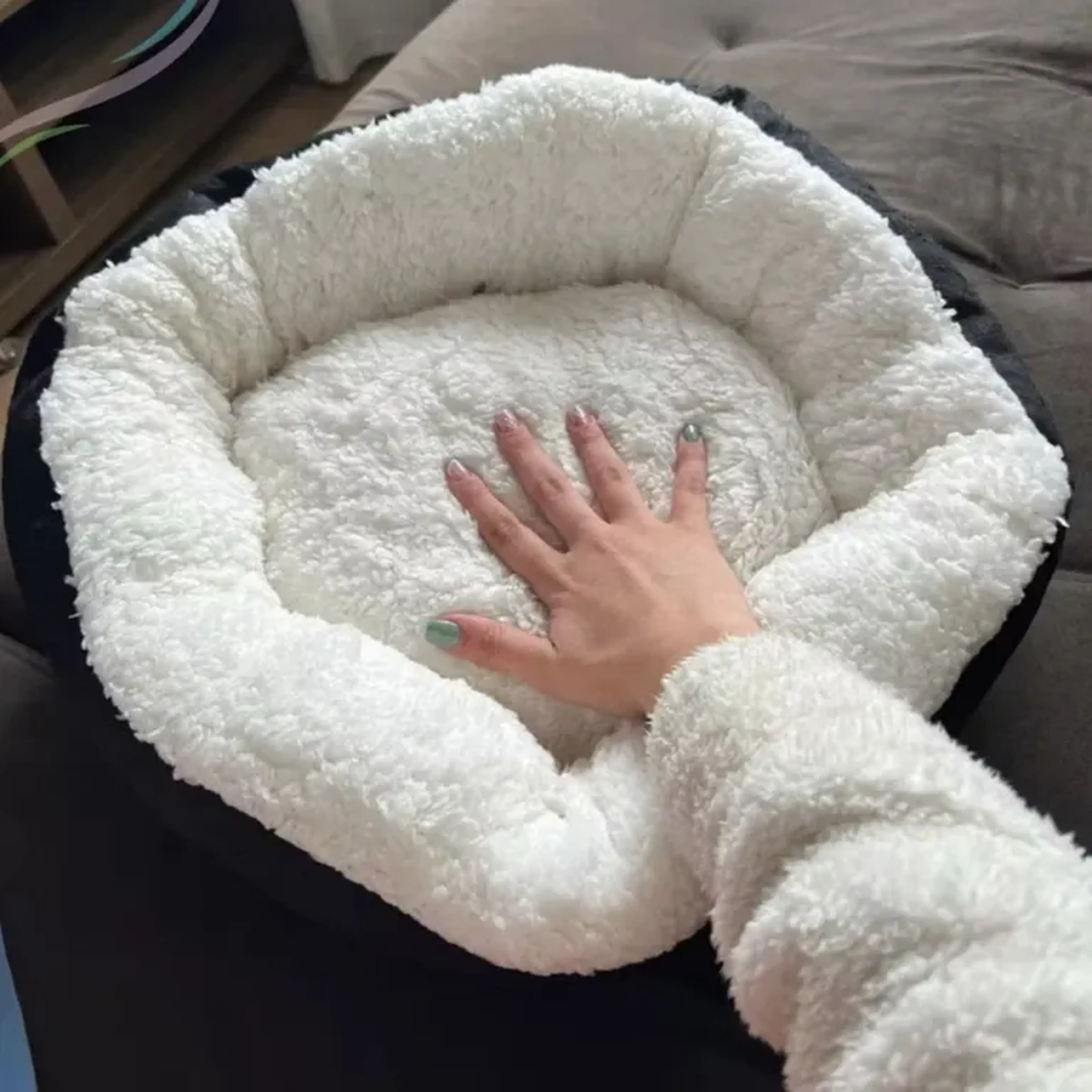 Caminha redonda imagem