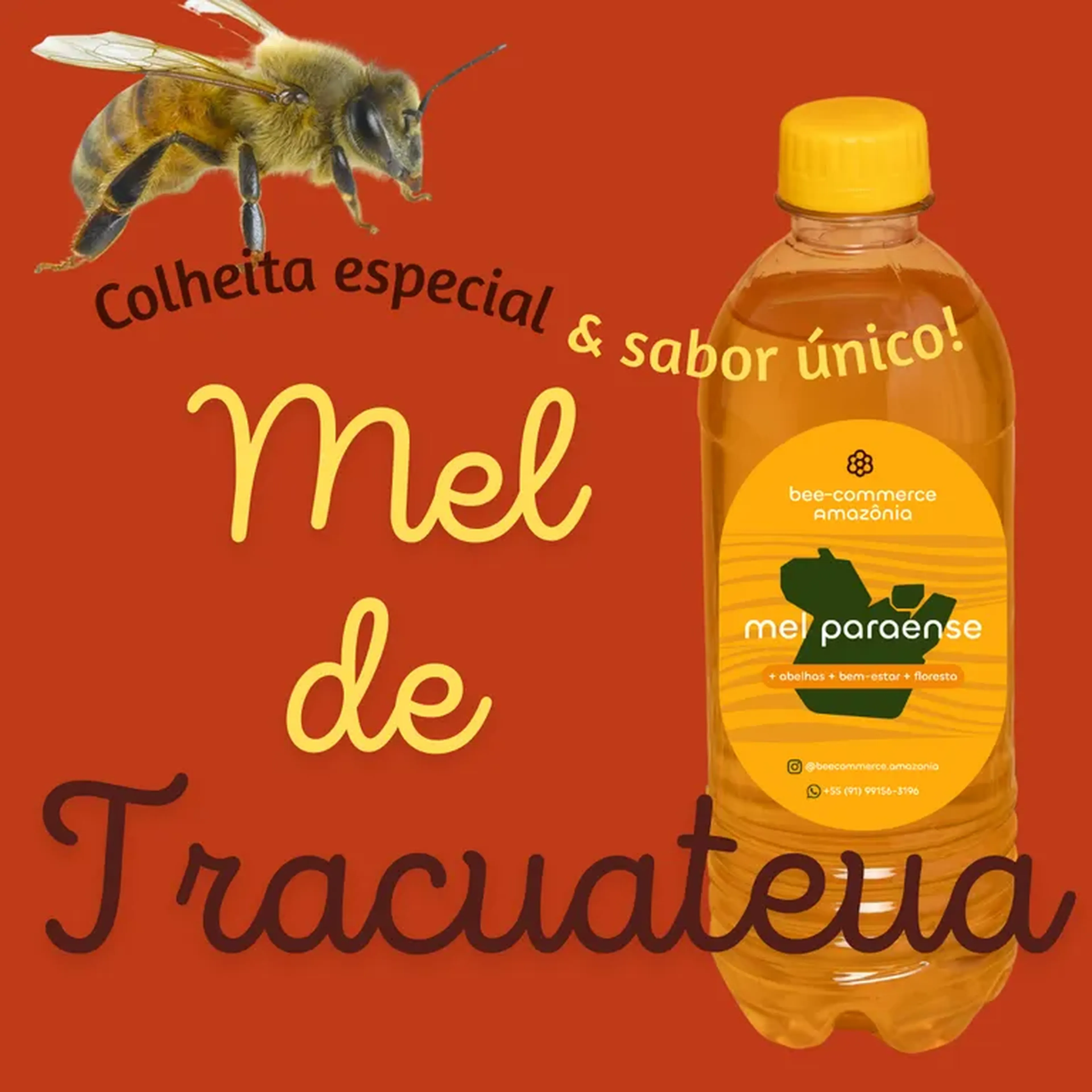 Mel de Tracuateua - 500 ml imagem