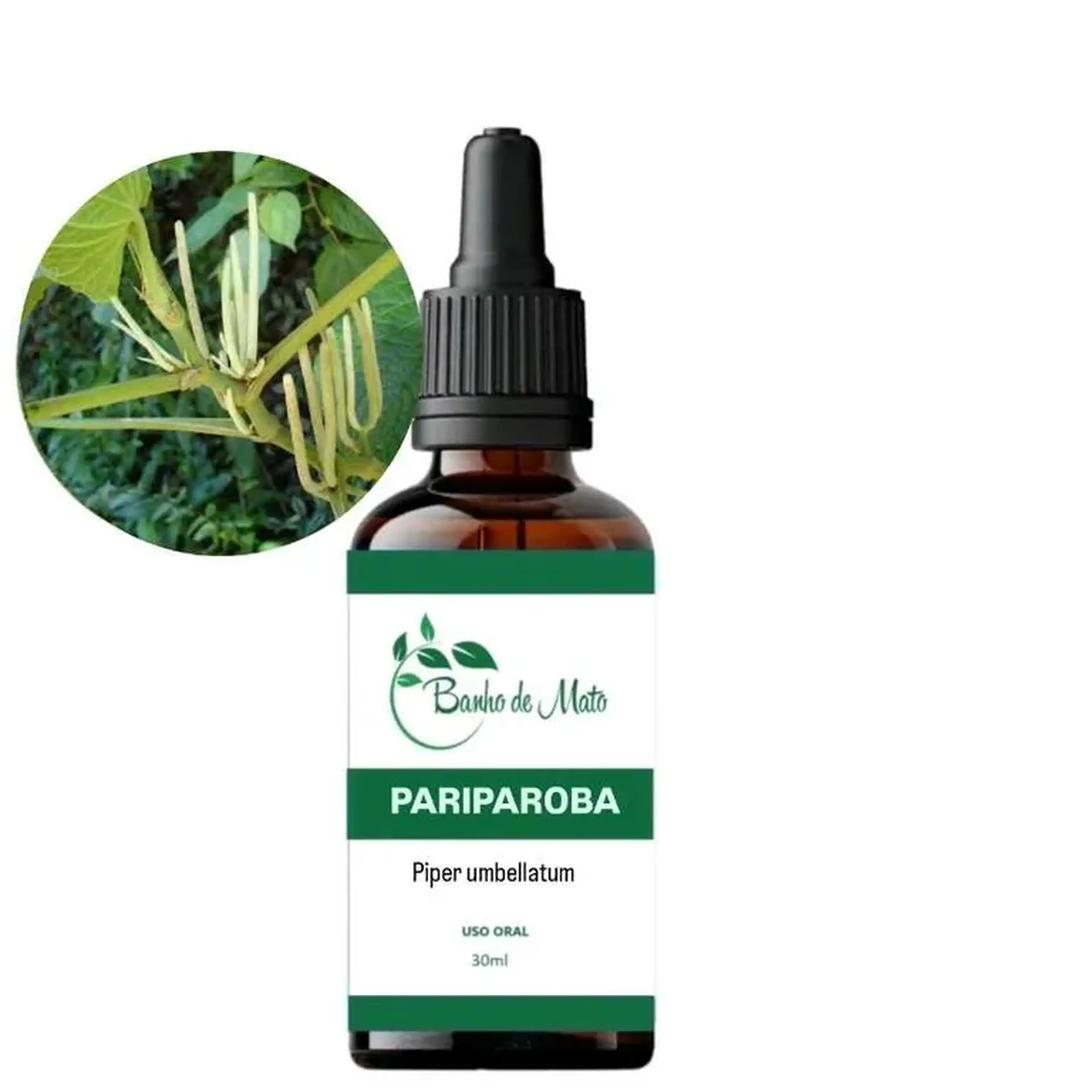Extrato - PARIPAROBA (Piper umbellatum) imagem