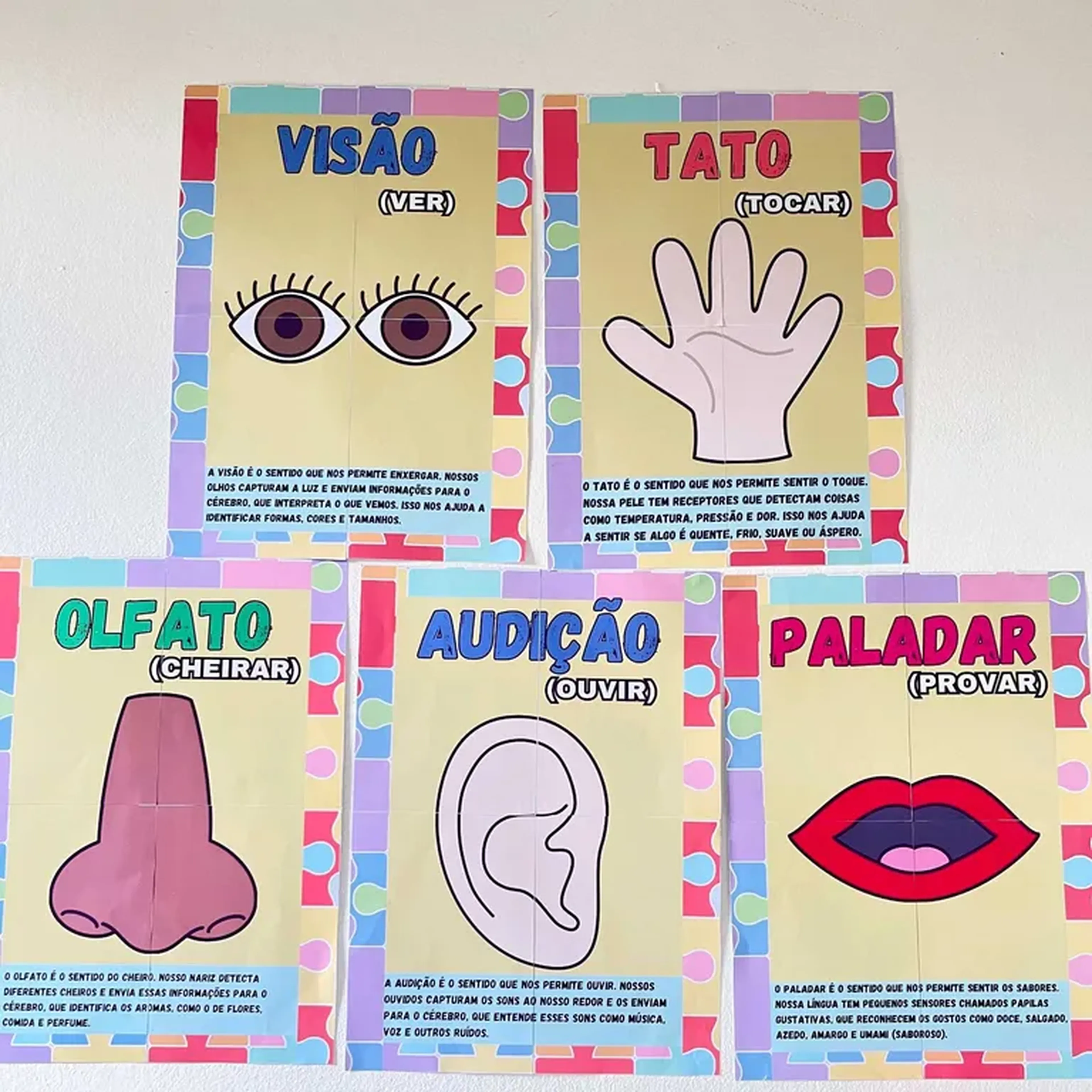 kit Os Sentidos em imagem