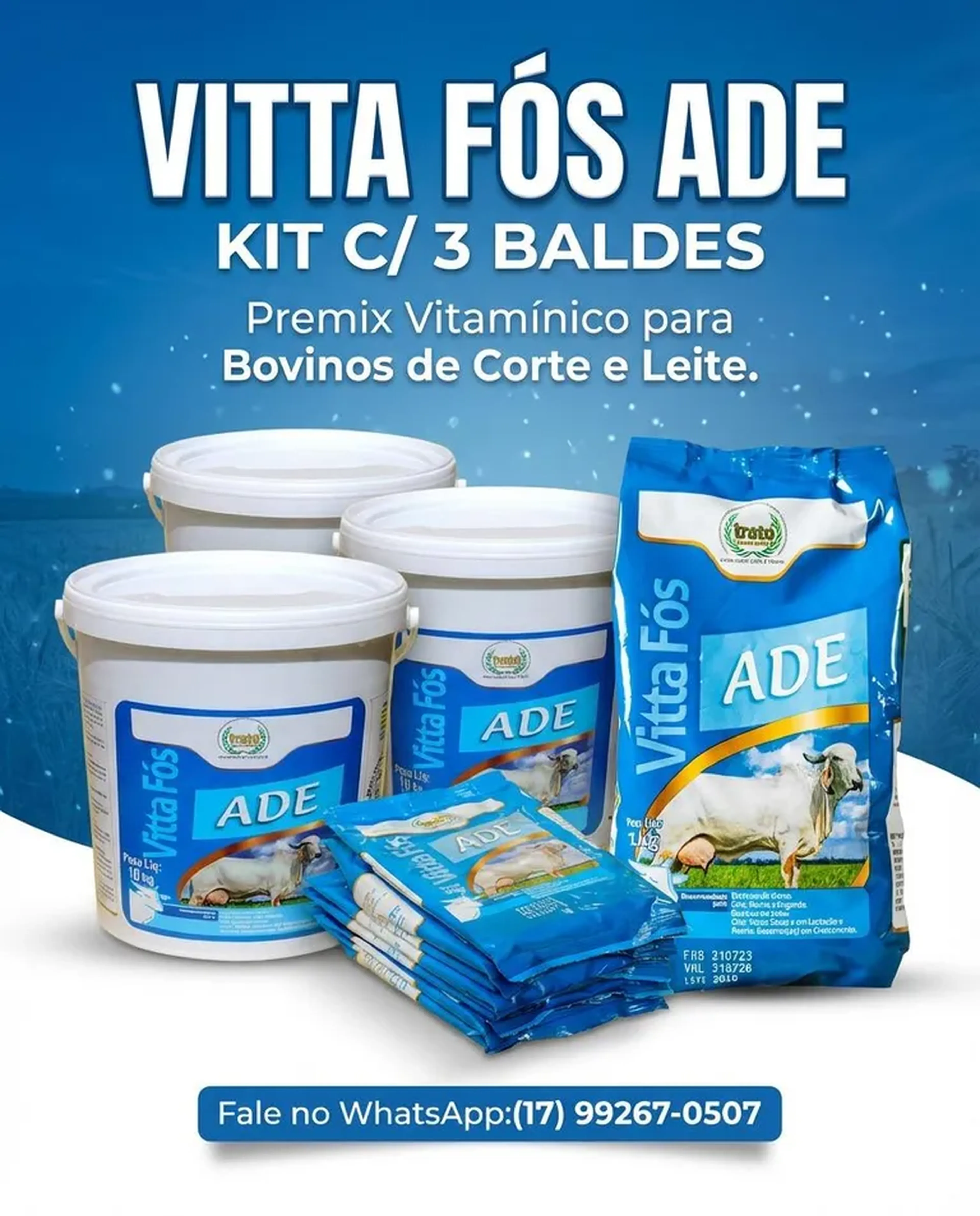 VITTA FÓS ADE - KIT C 3 BALDES imagem