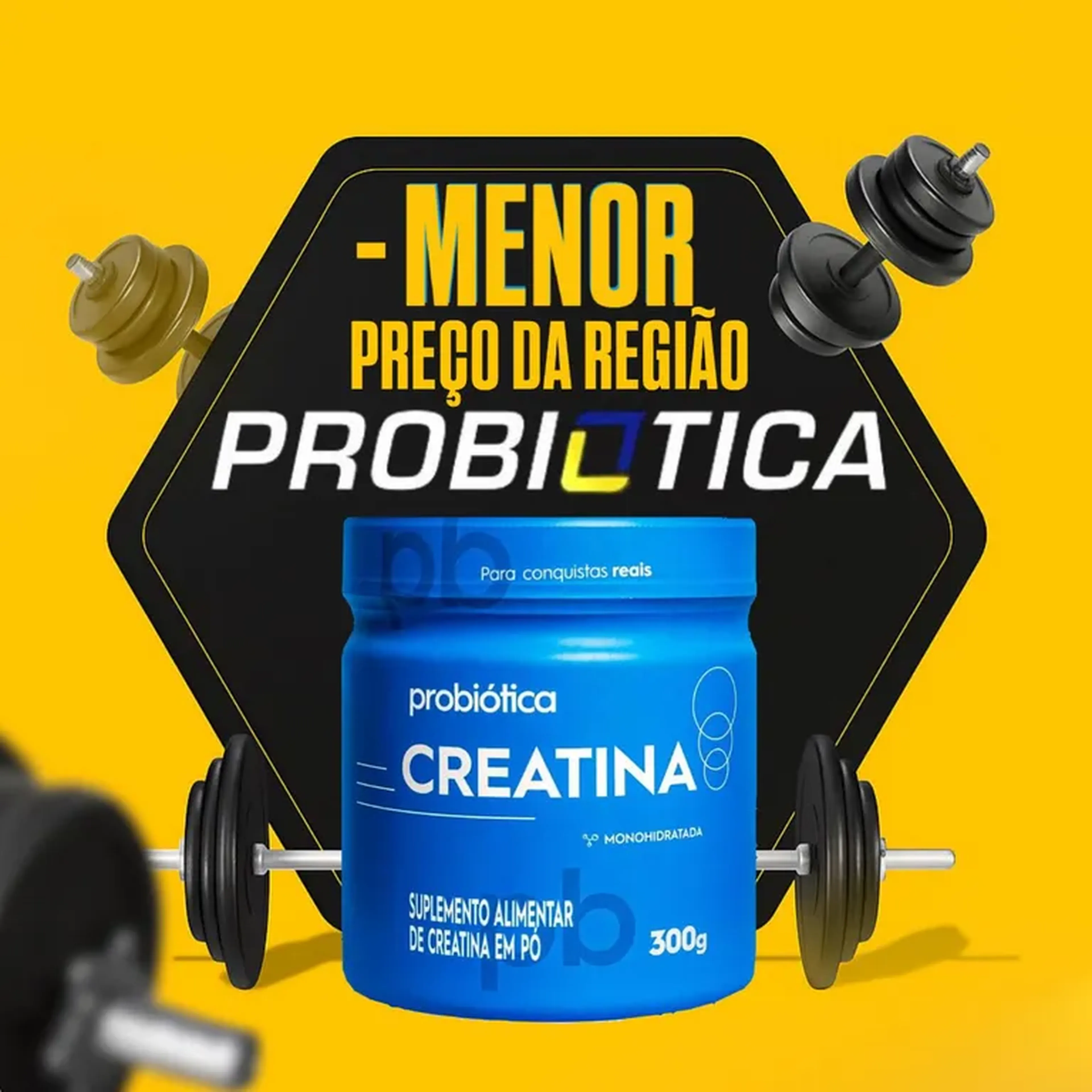 Creatina PROBIOTICA 300g imagem