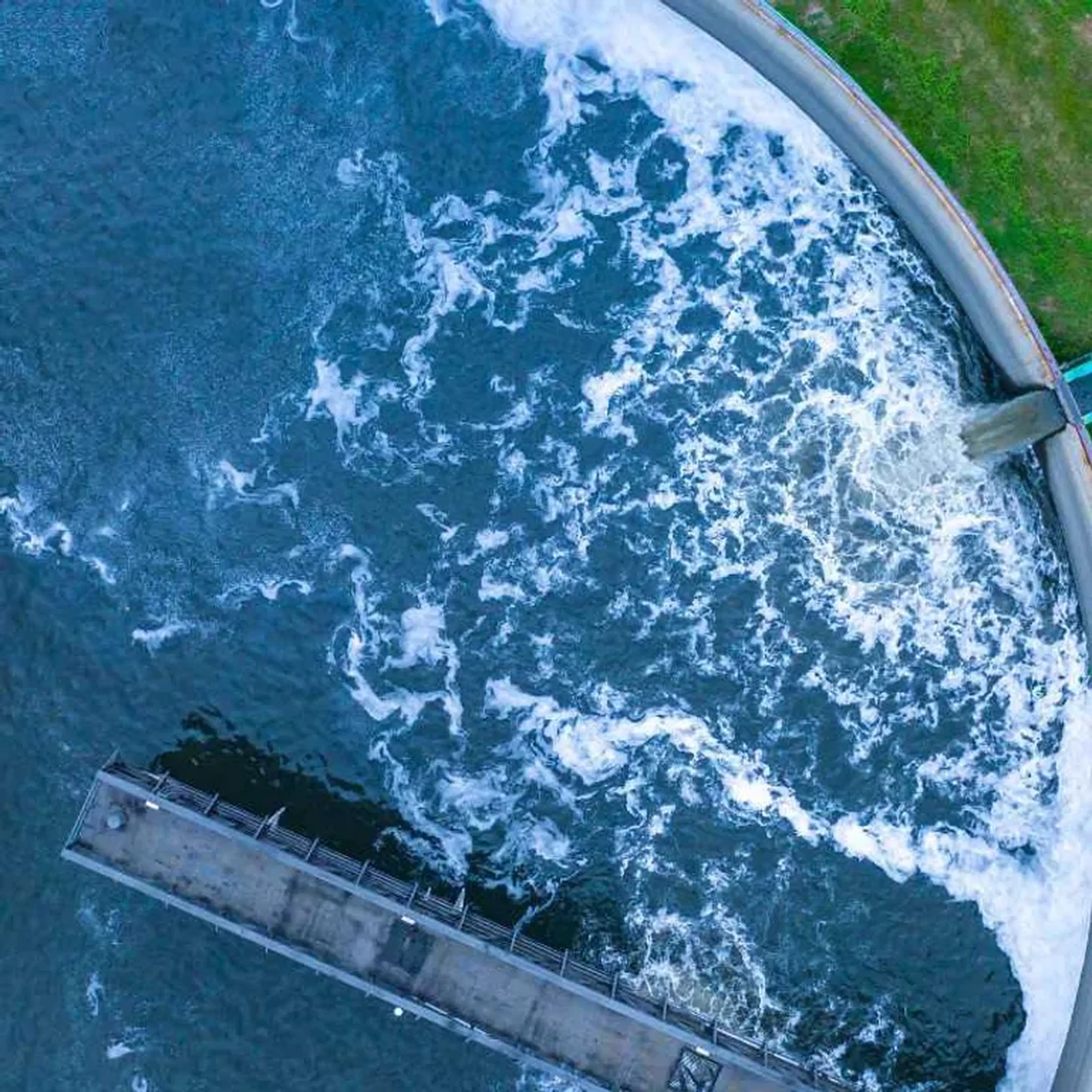 Balanço Hídrico Bioenergético imagem