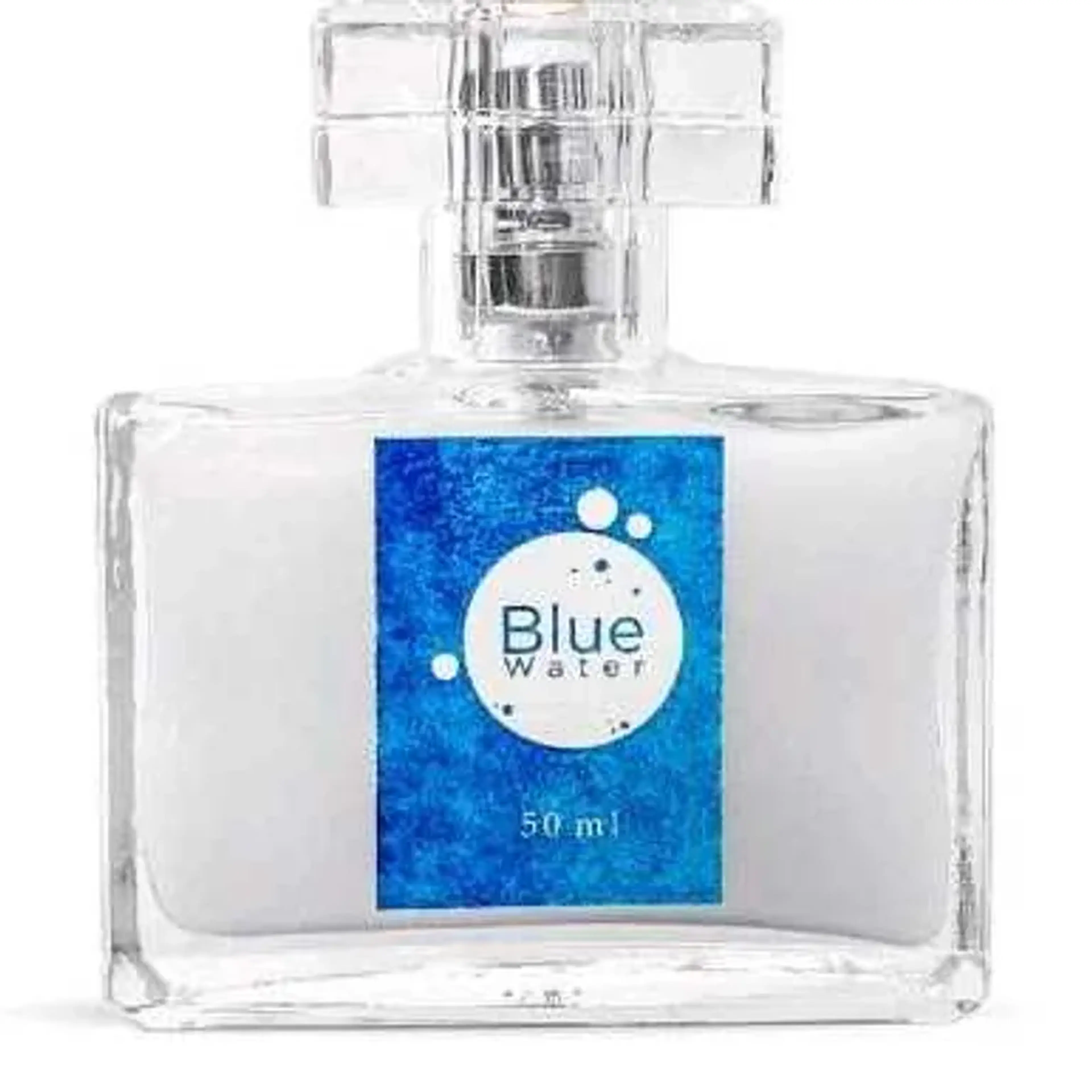 Perfume Masculino BLUE WATER 50ml imagem