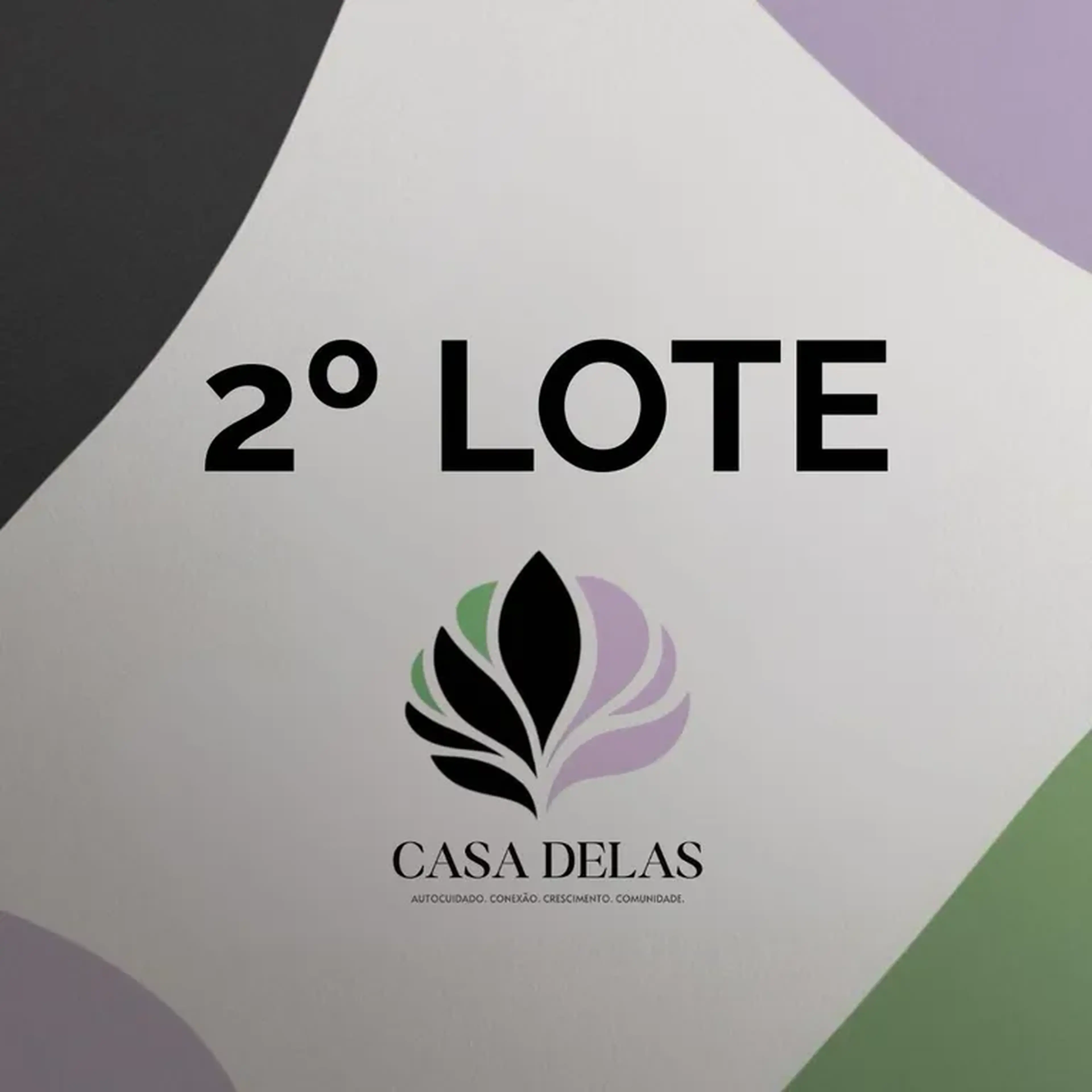 Edição Outono - 2º Lote imagem