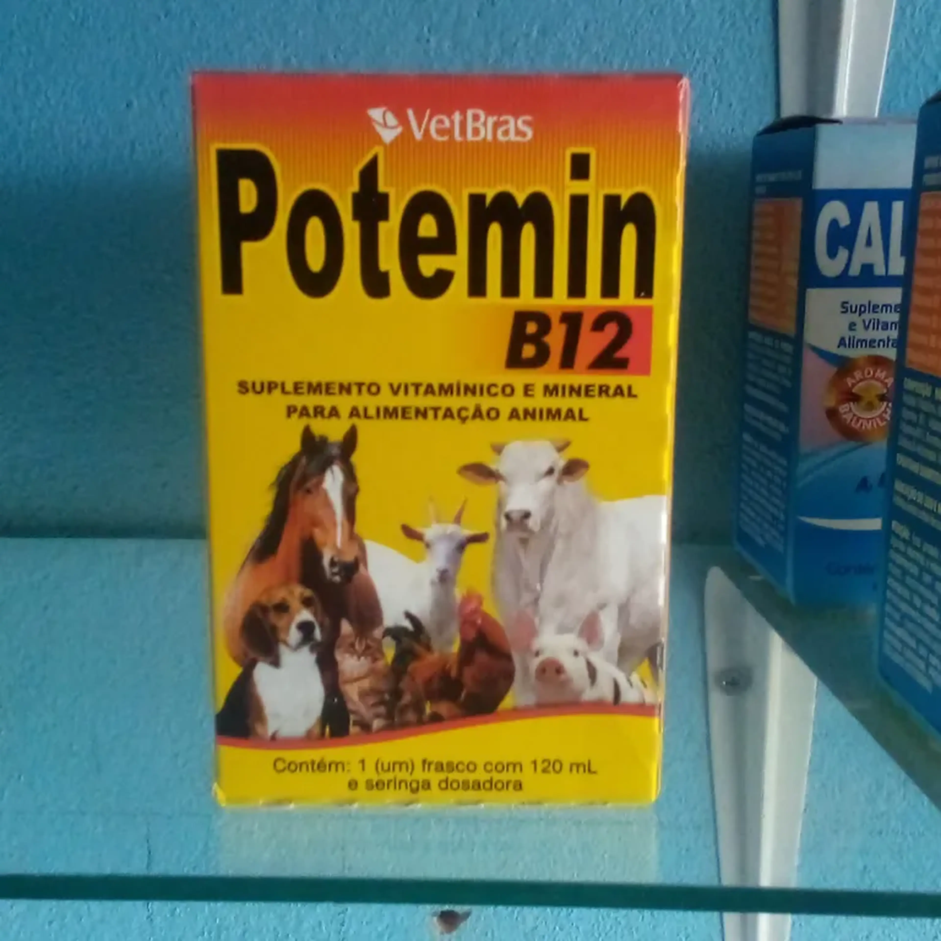 Potemin B12 imagem