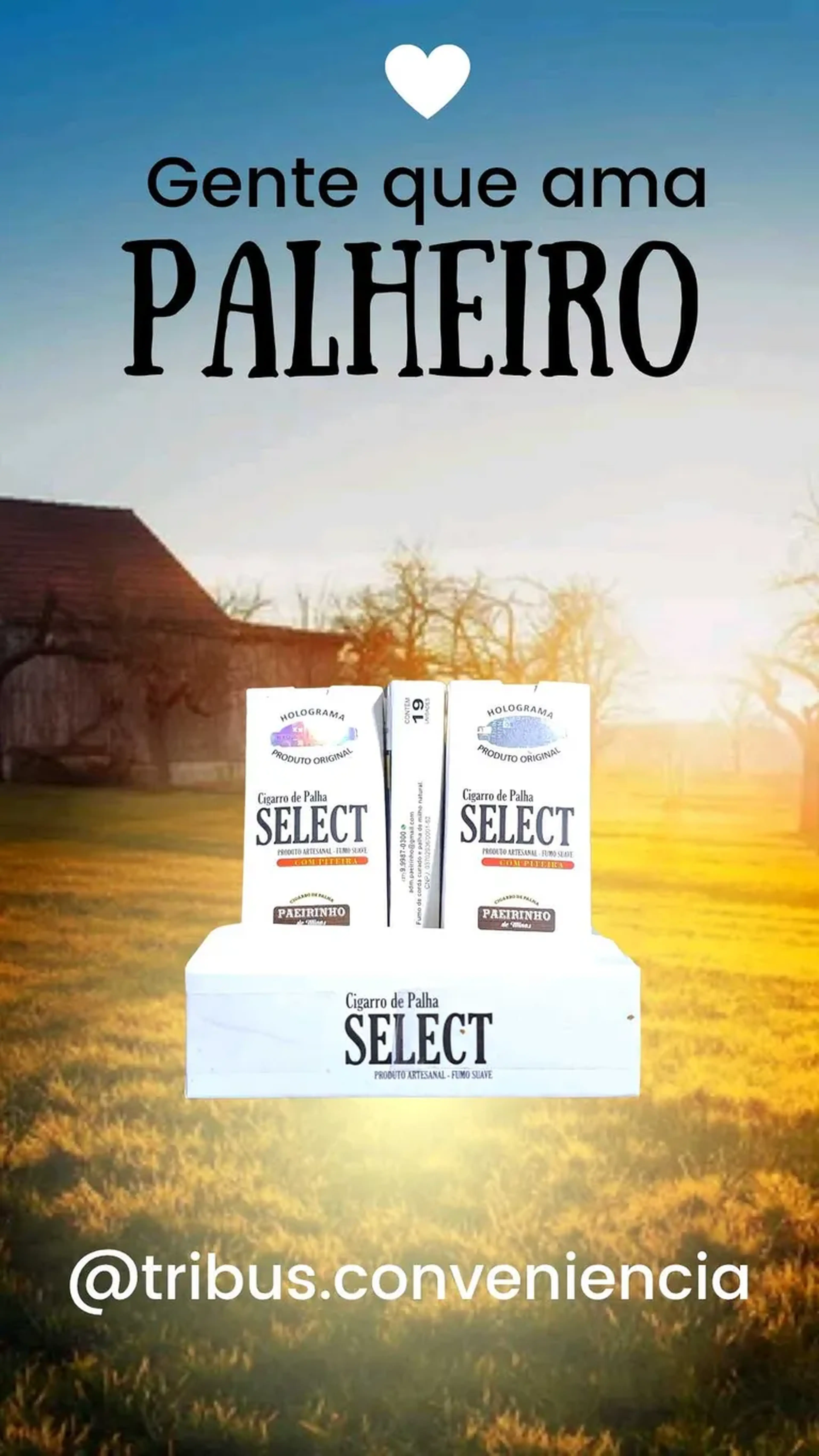 Palheiro SELECT imagem