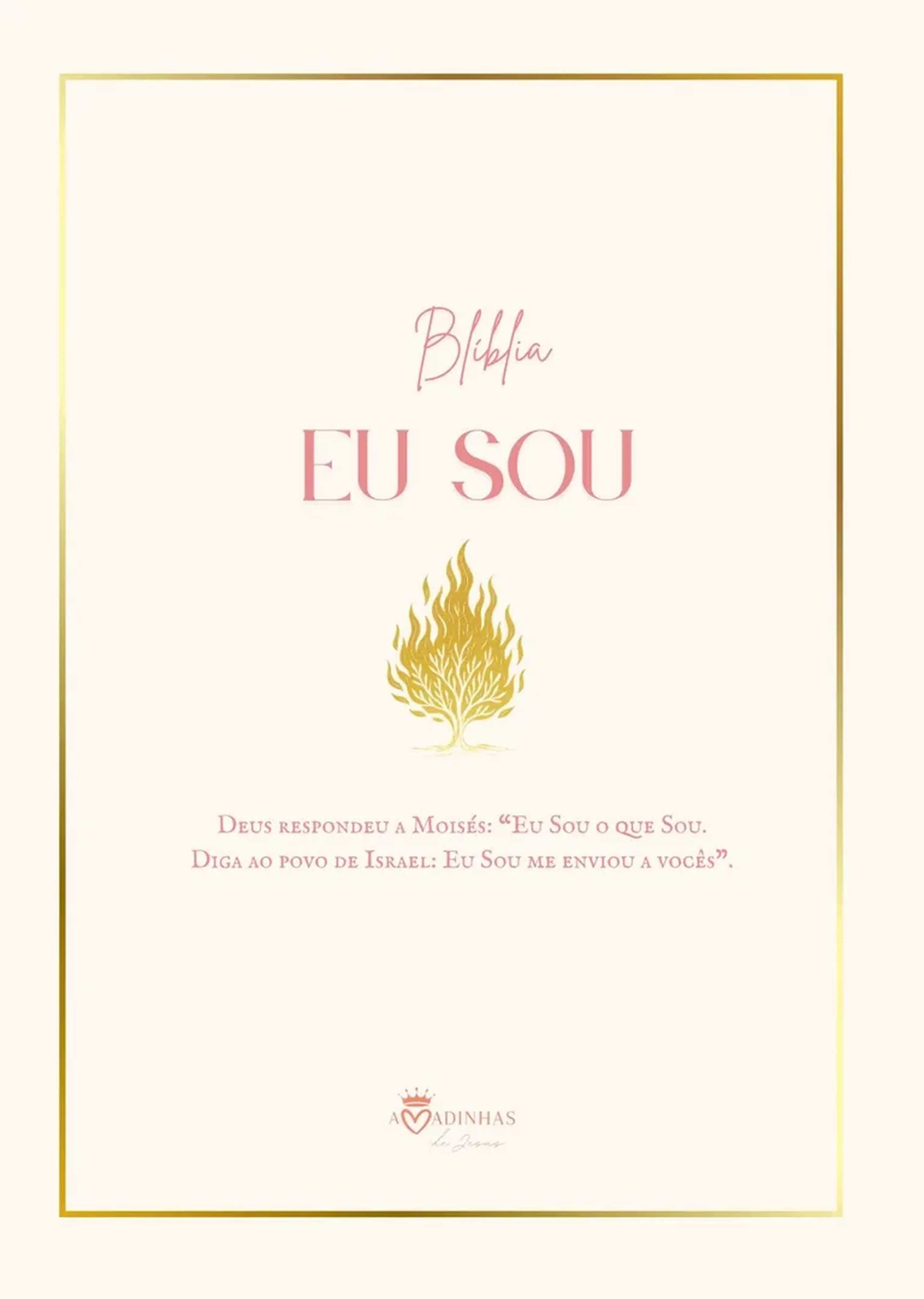 Biblia Slim versão NVT imagem