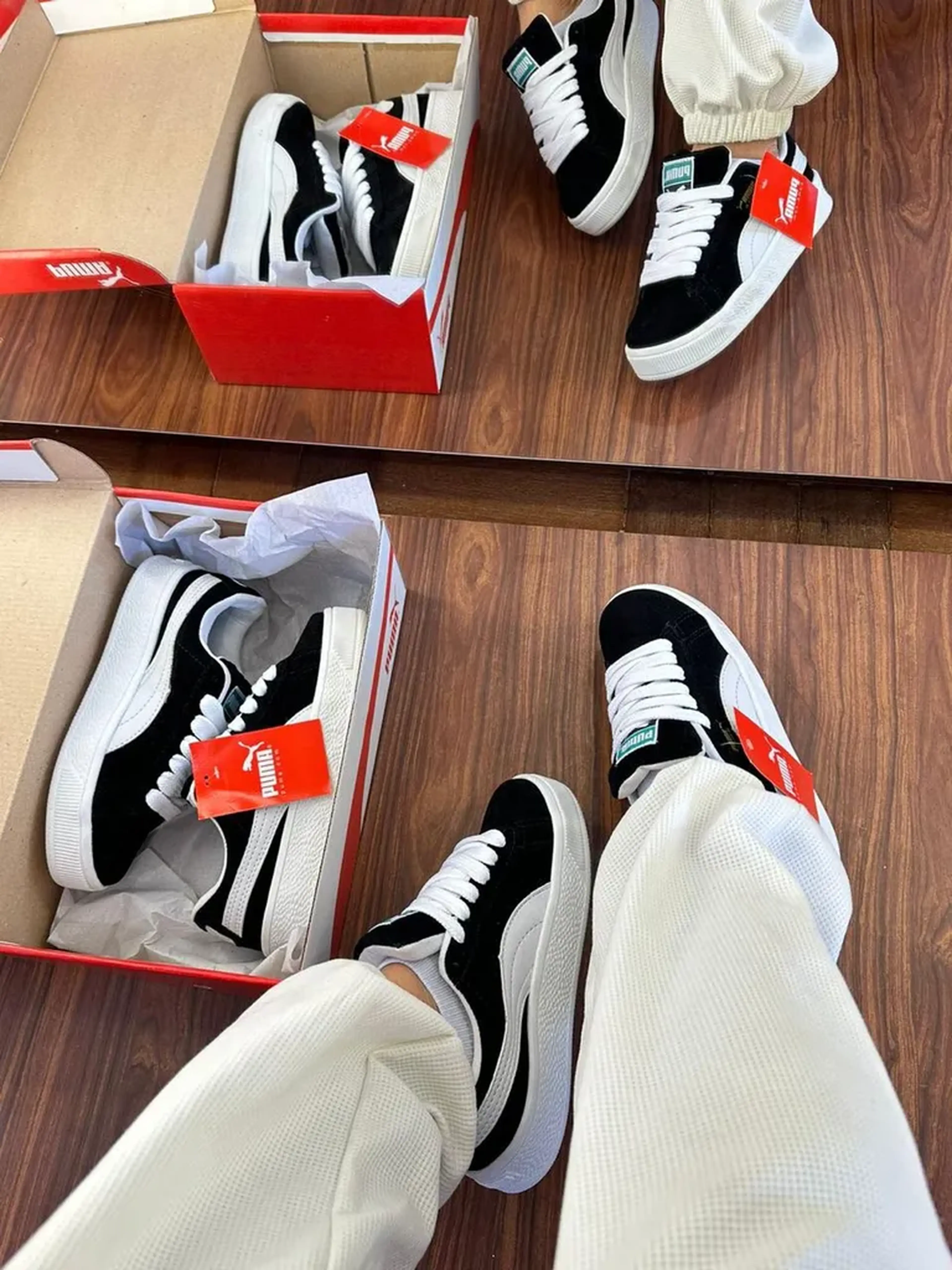 Puma XL imagem