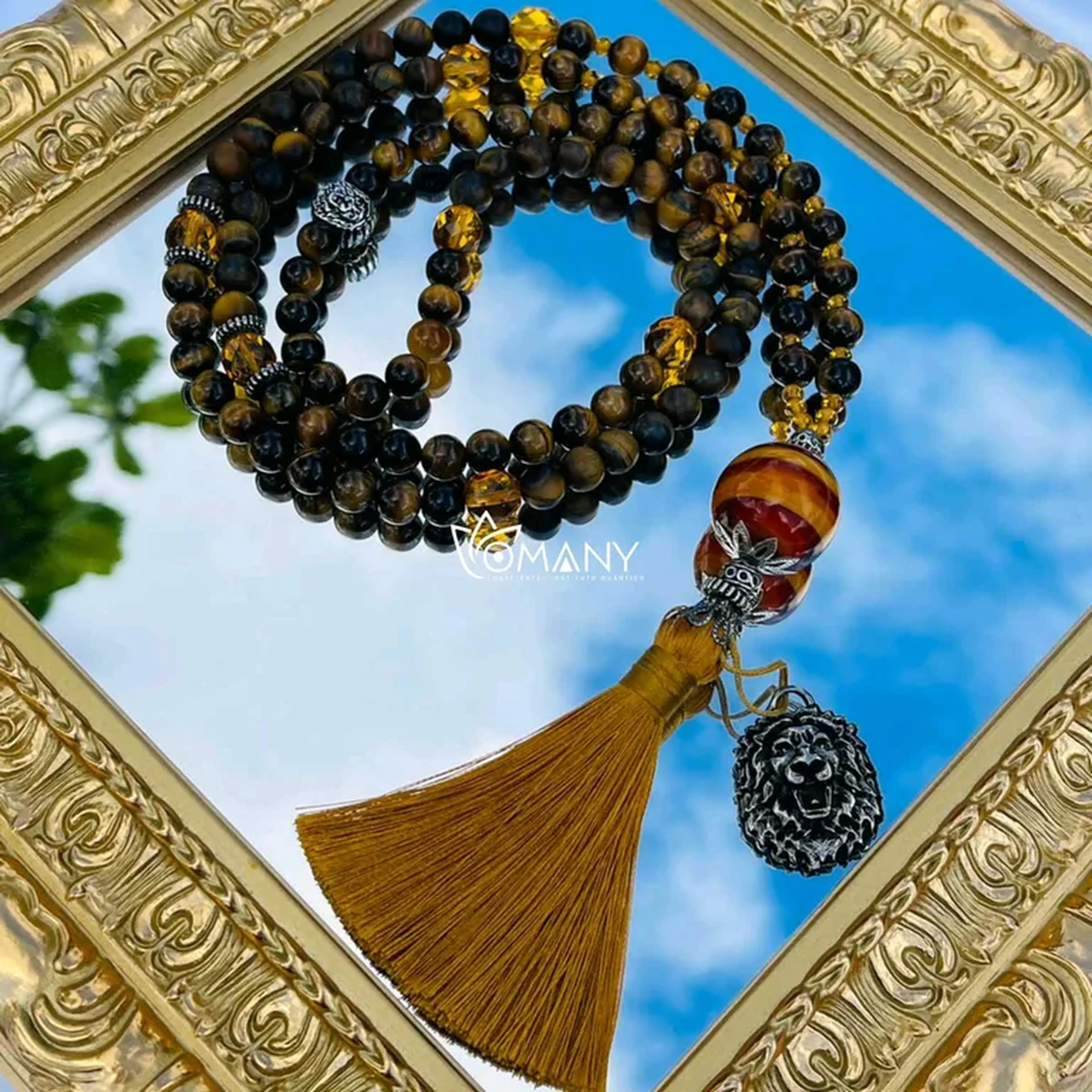 Jamapala na Energia do Leão 2 imagem