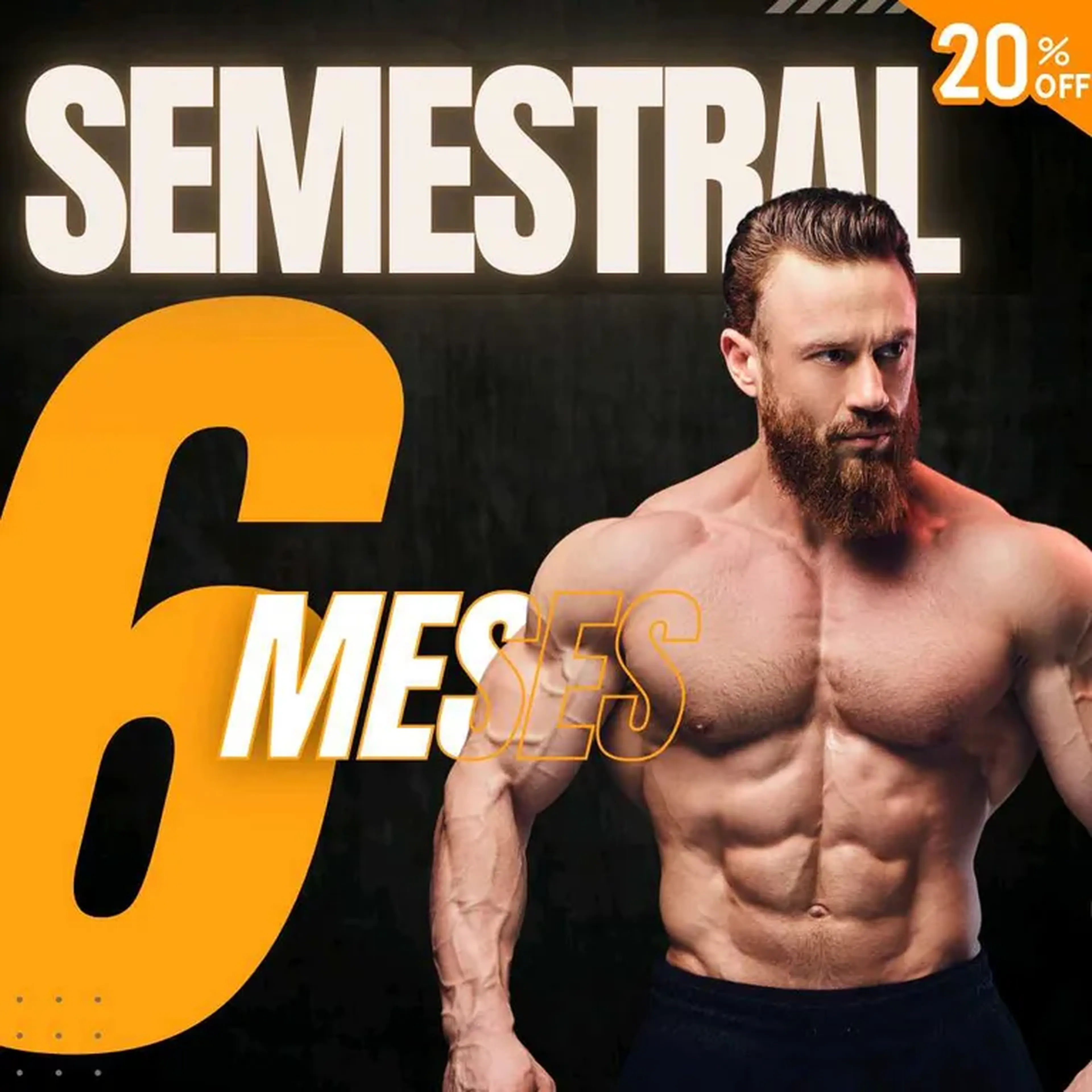 Acompanhamento Semestral imagem