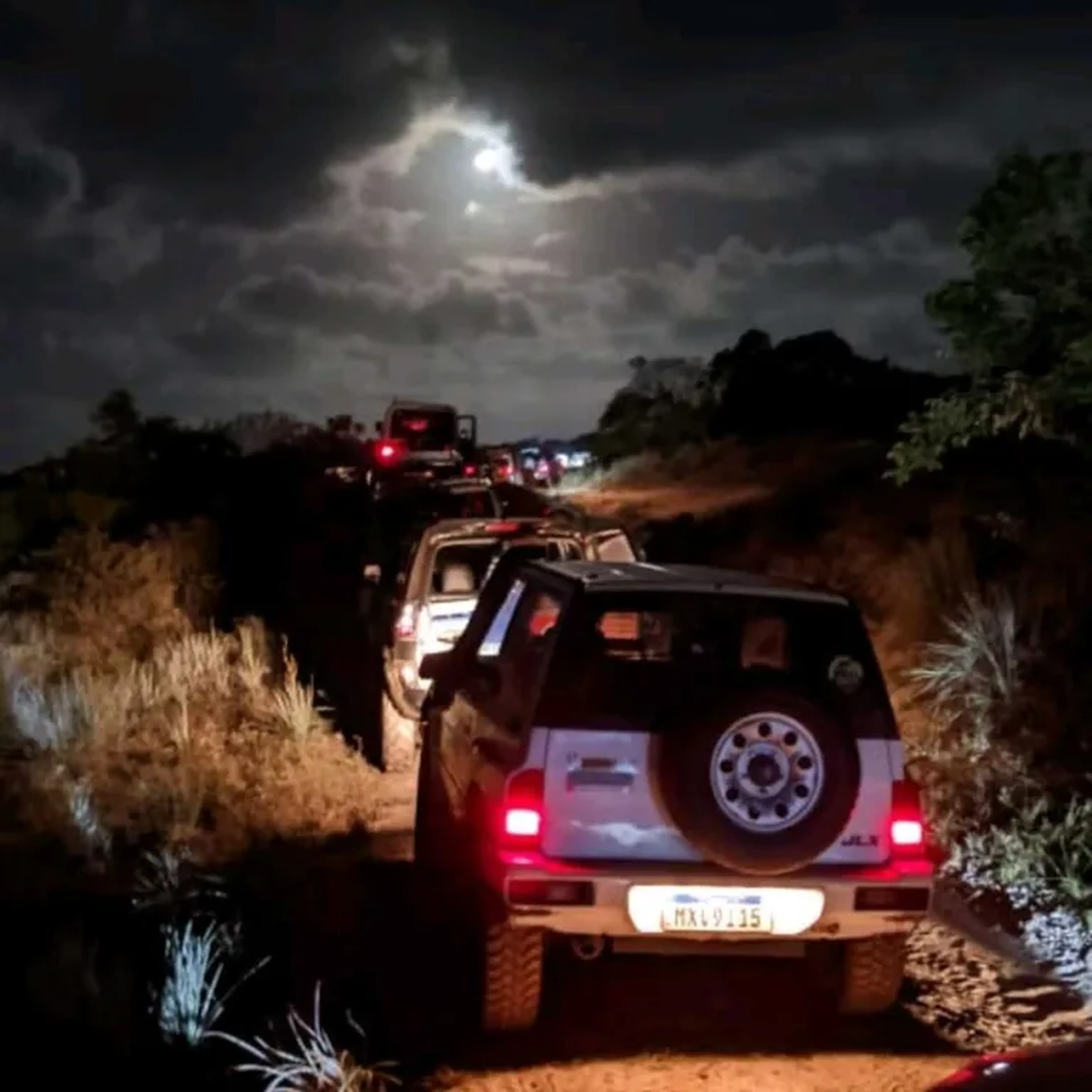 Camisa Extra Coruja 🦉 - Tamanho P imagem