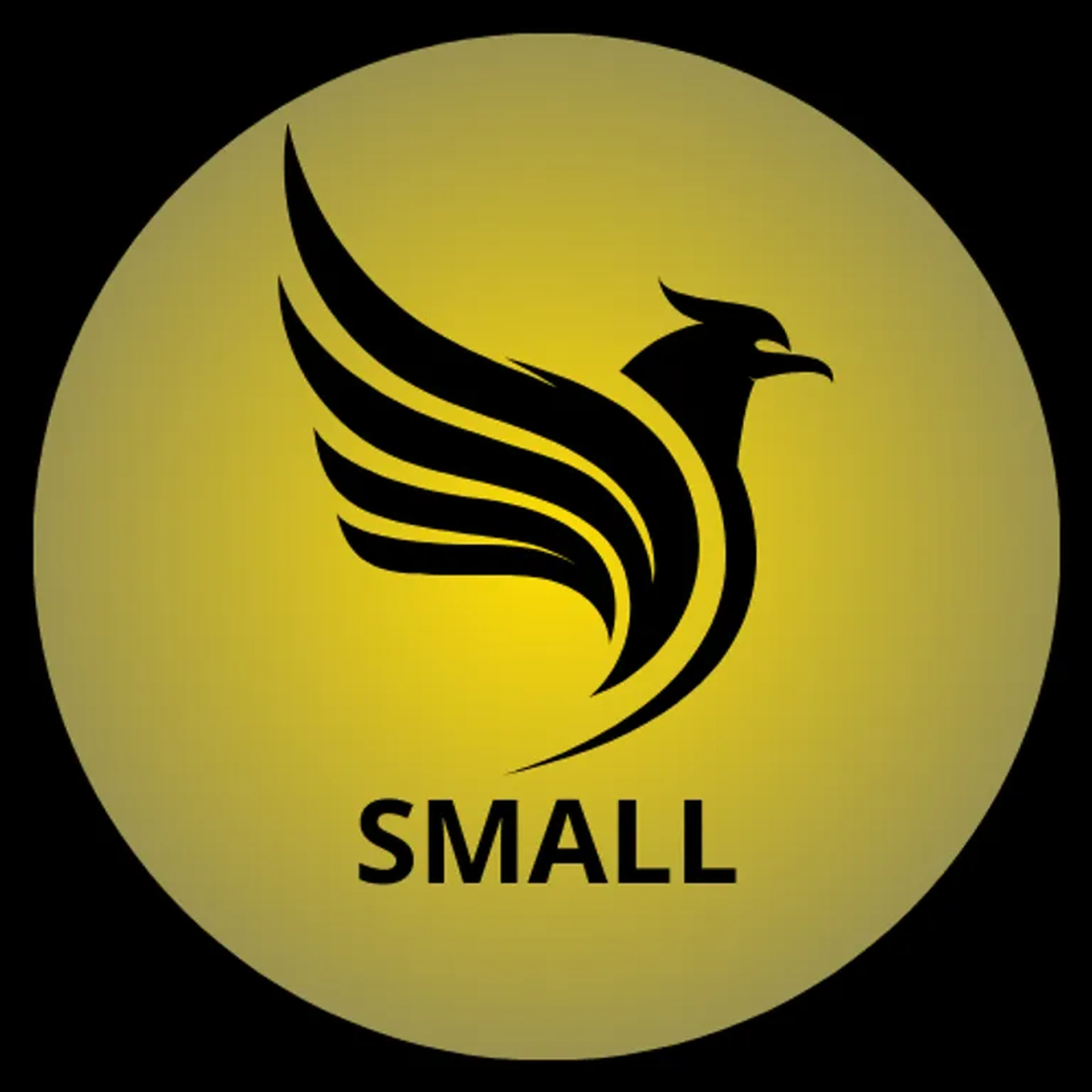 Carteira Small Caps imagem