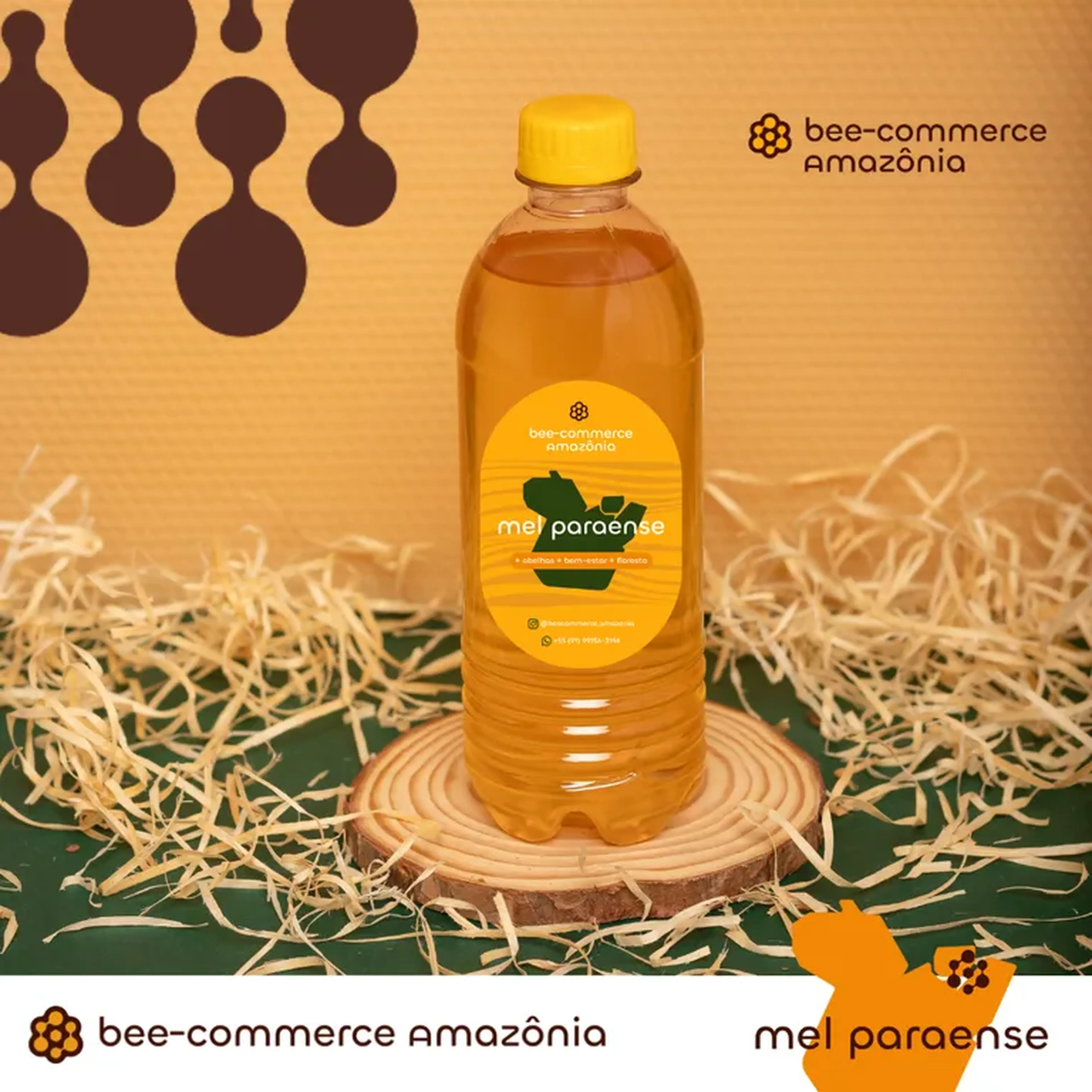 Mel de Tracuateua - 500 ml imagem