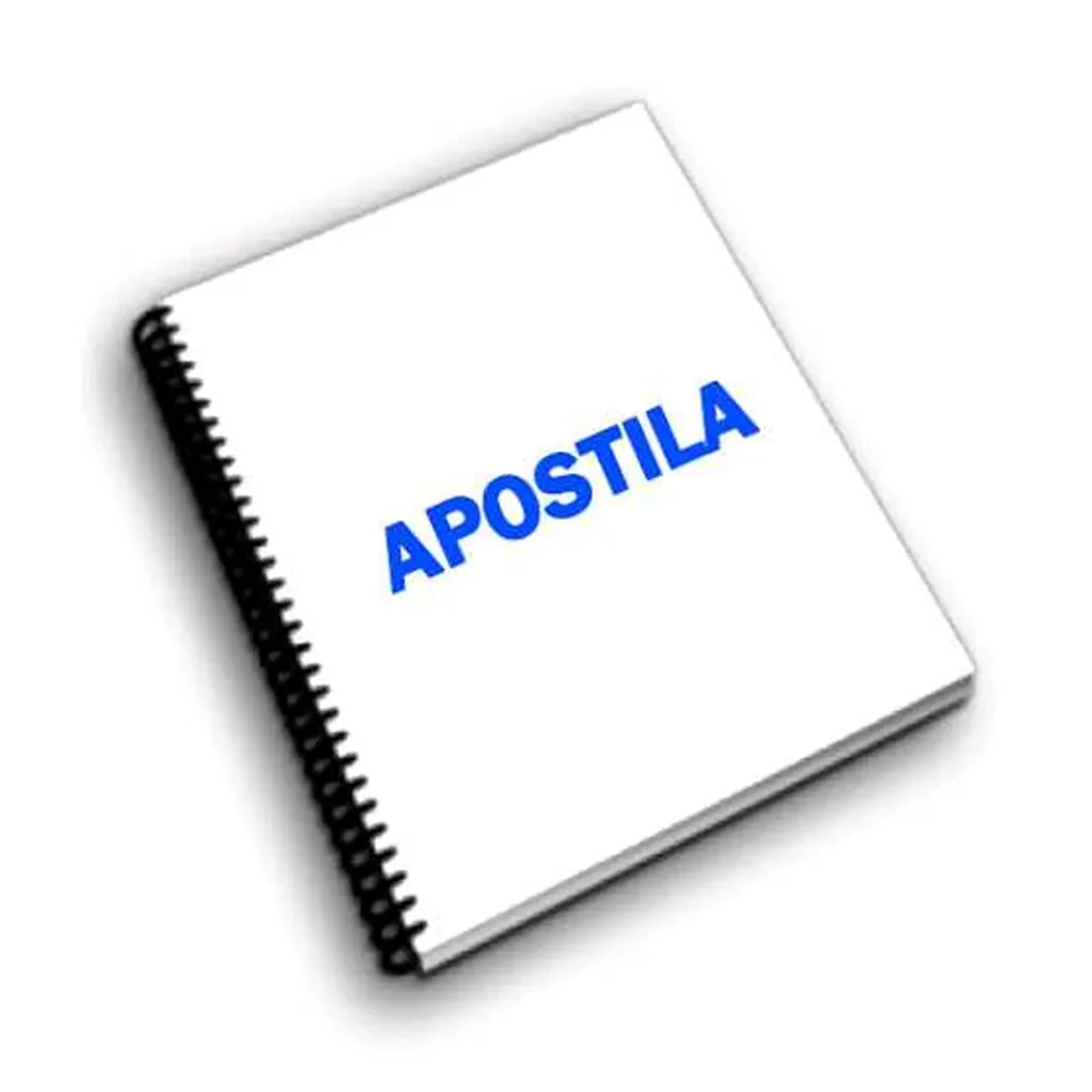 Apostila imagem
