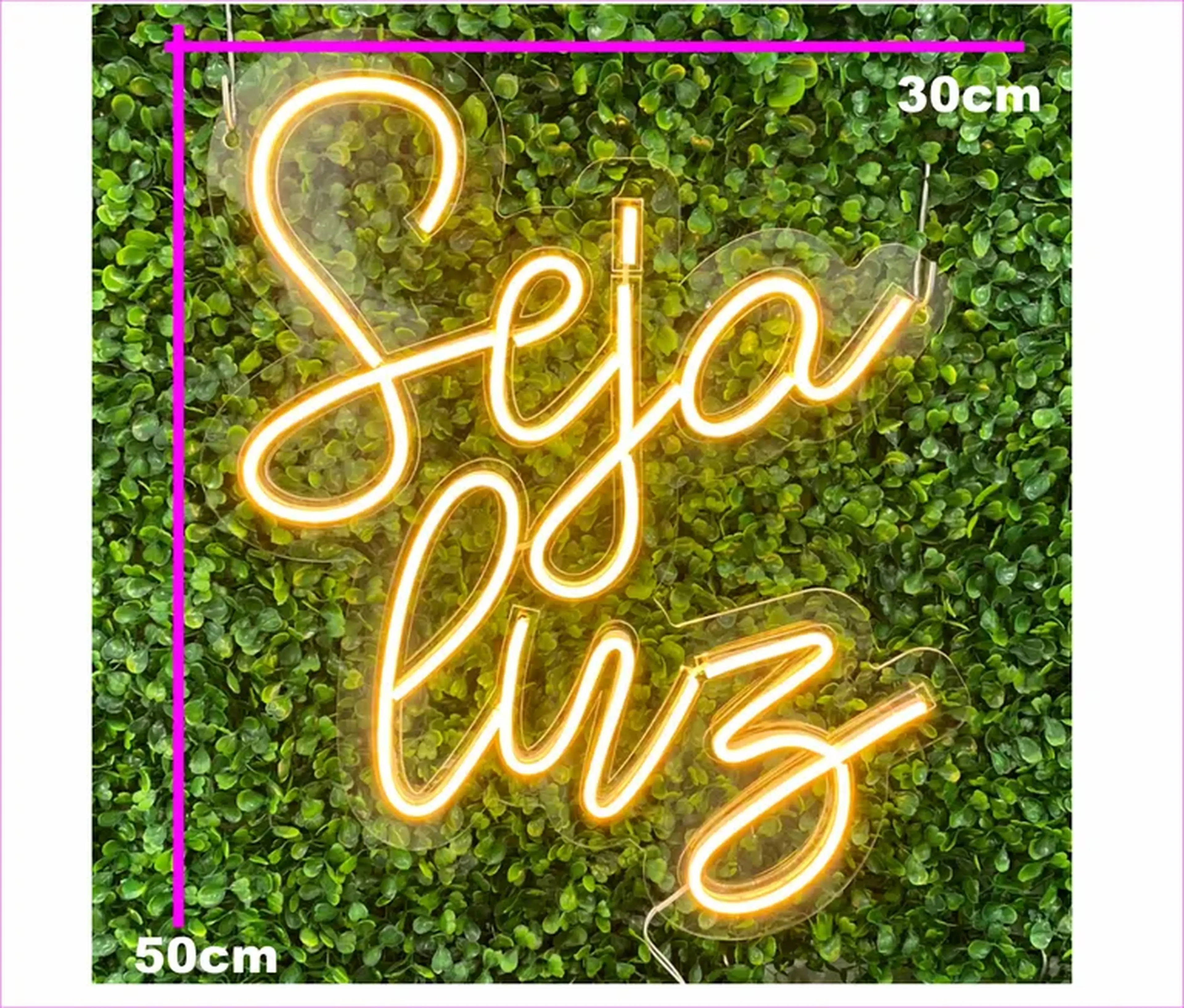 NEON - SEJA LUZ imagem