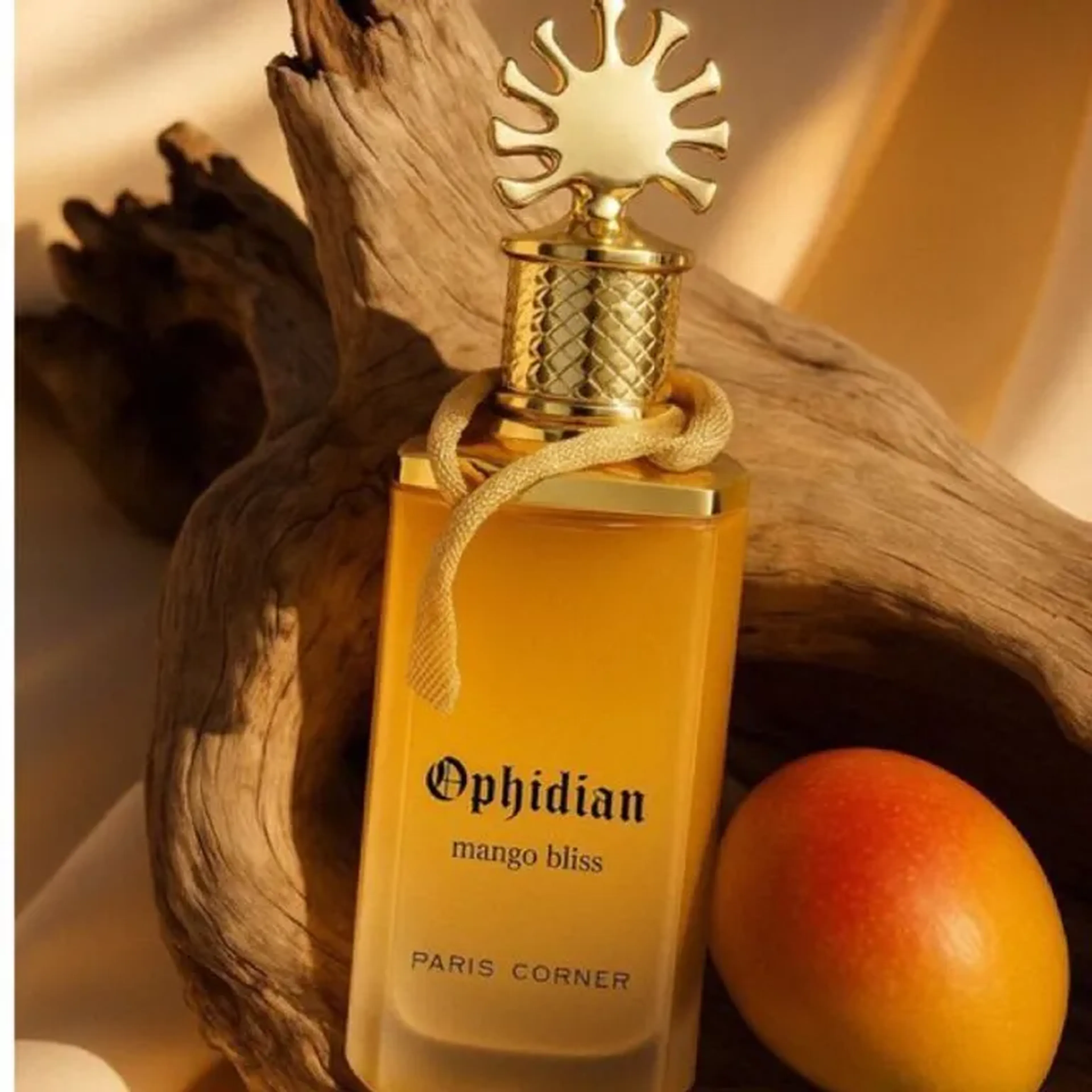 Perfume Ophidian-100 ml imagem