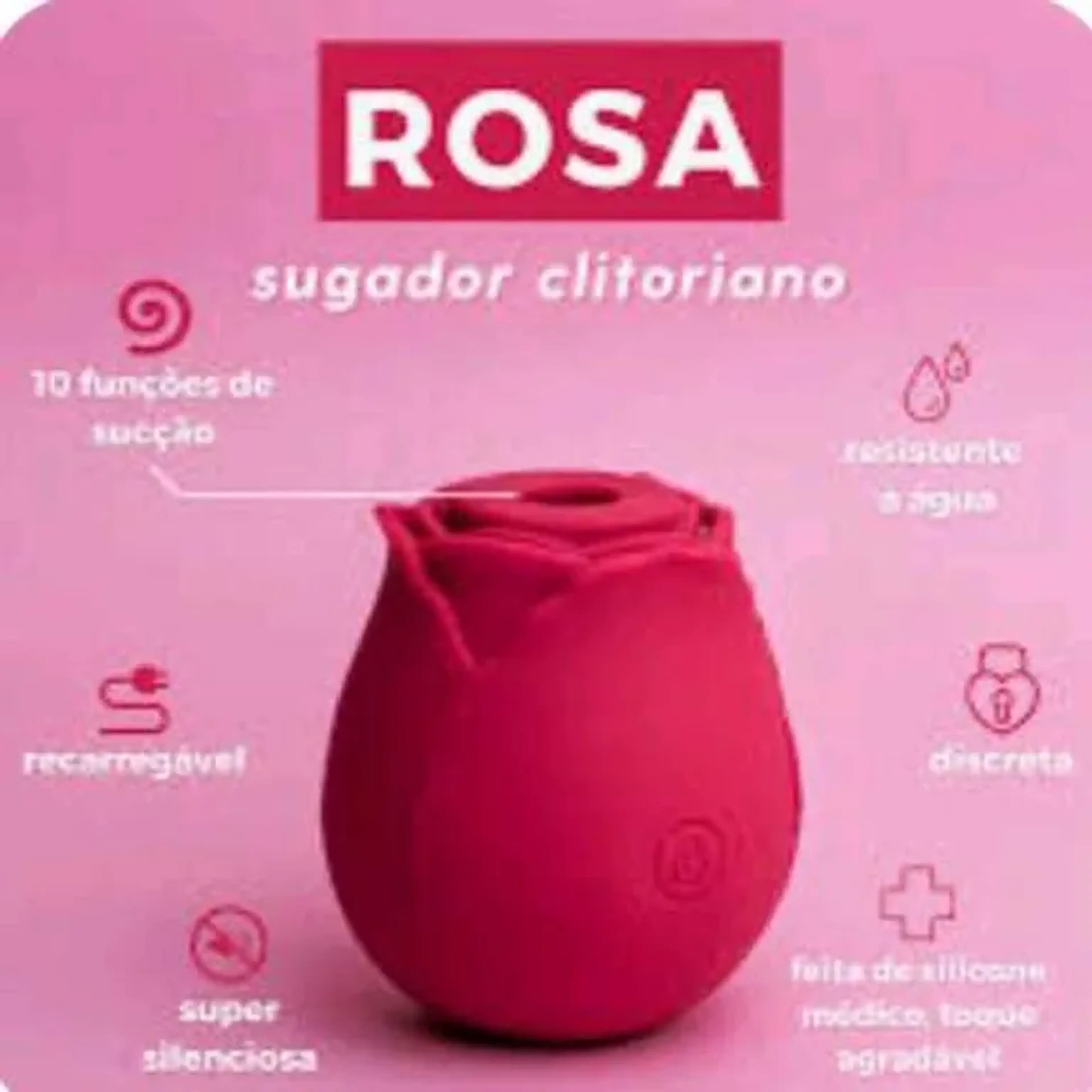 Rosa vibrante imagem