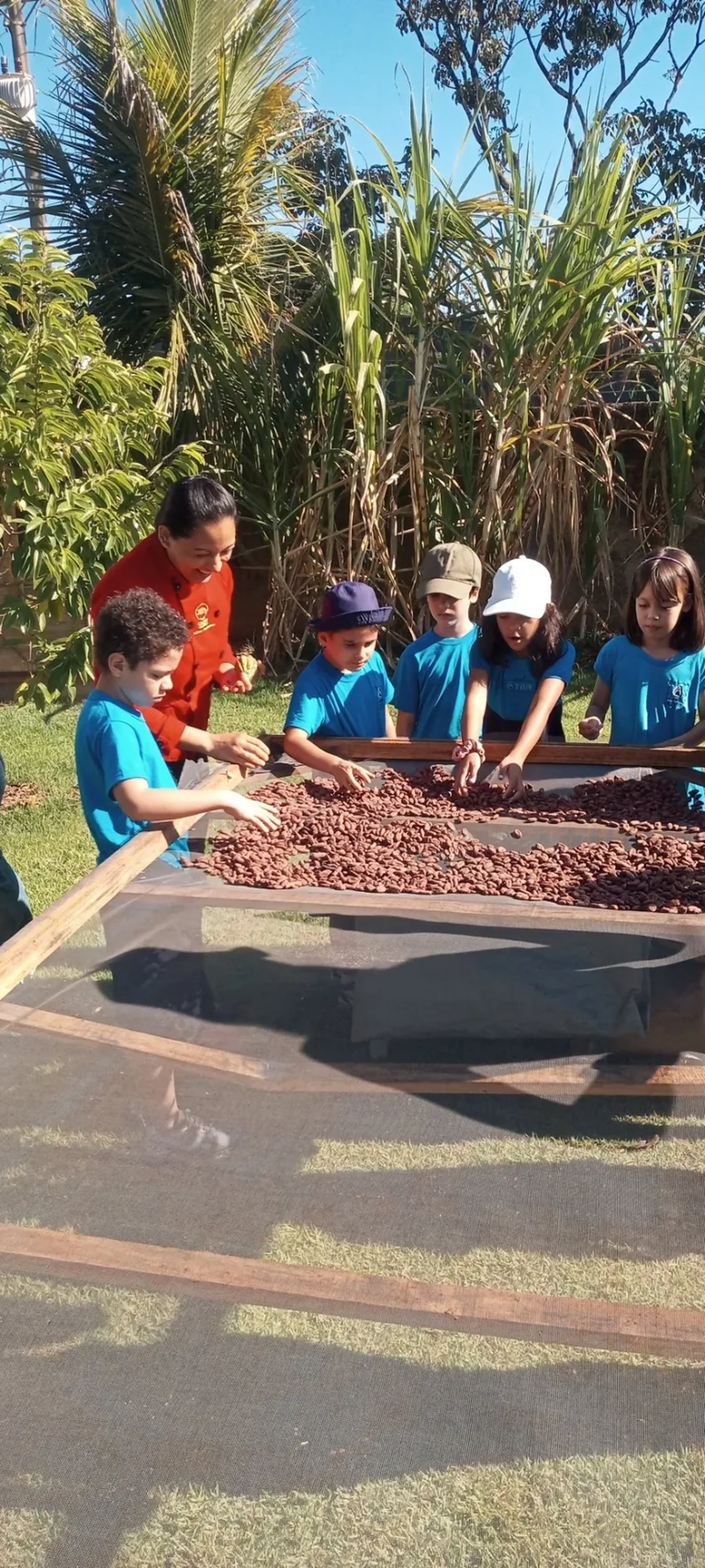 Visita a fábrica de chocolates imagem