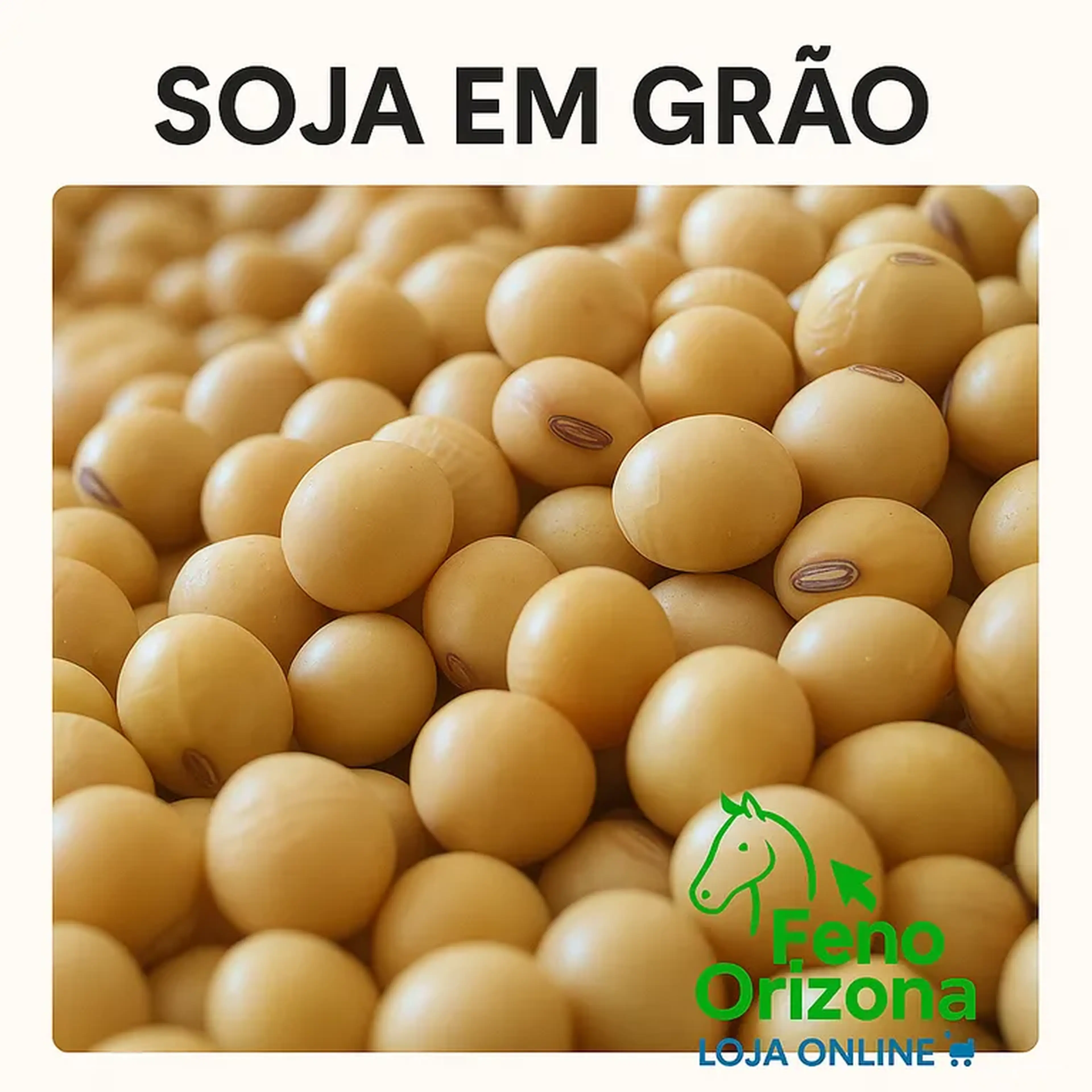 Soja em grão Premium - kg imagem