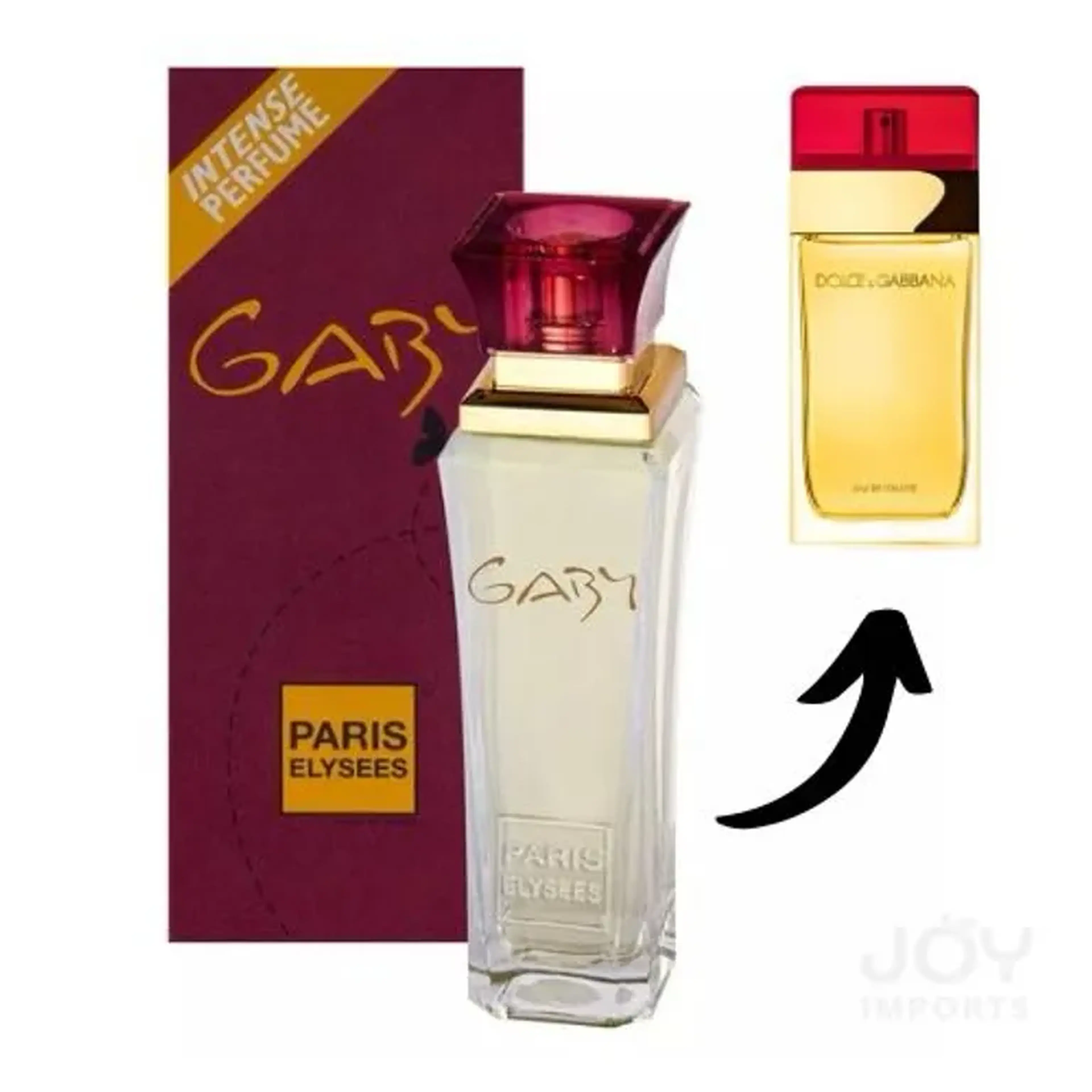 Gaby Paris Elysees Perfume Feminino EDT 100ml imagem