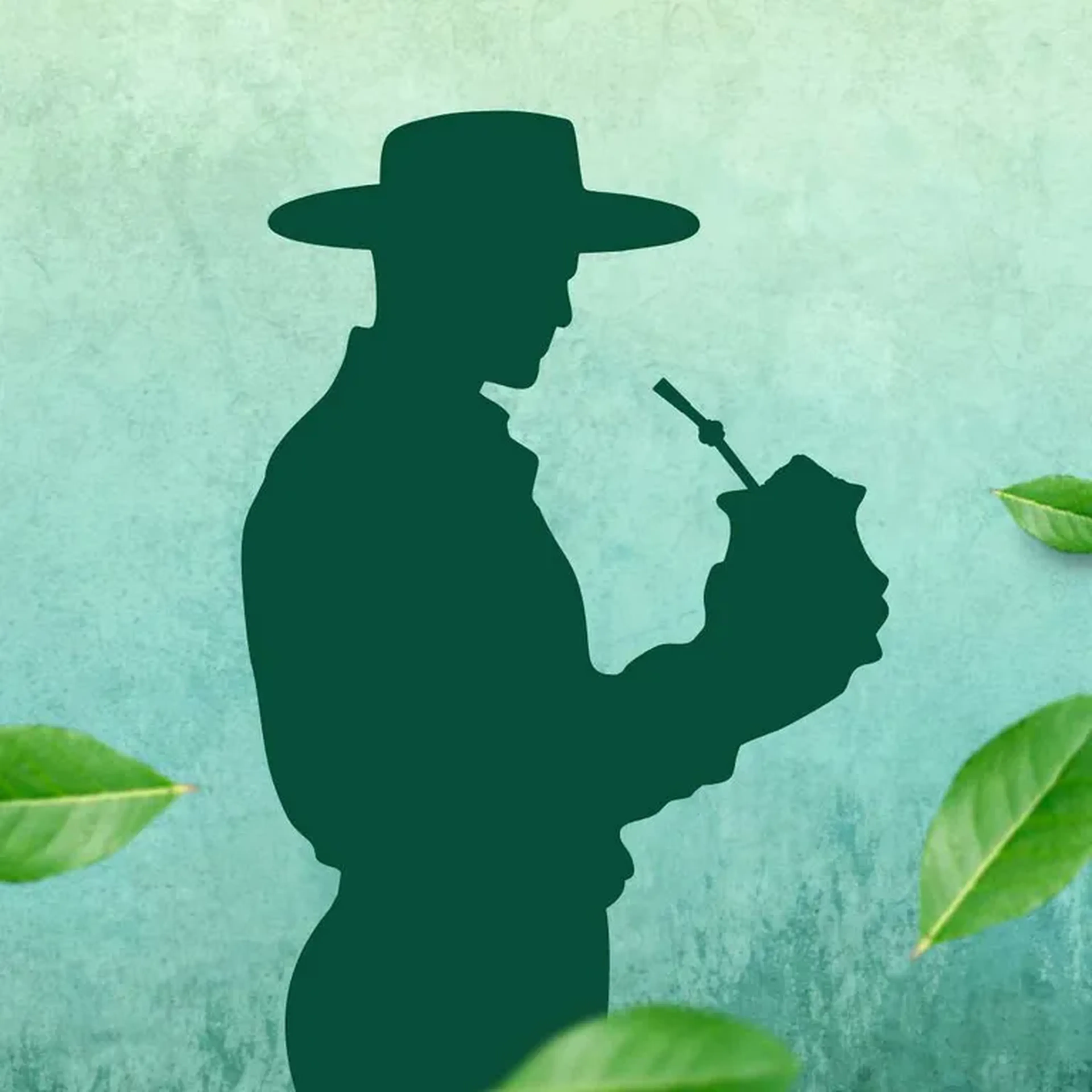 Adquira seu Tratamento pelo Chimarrão imagem