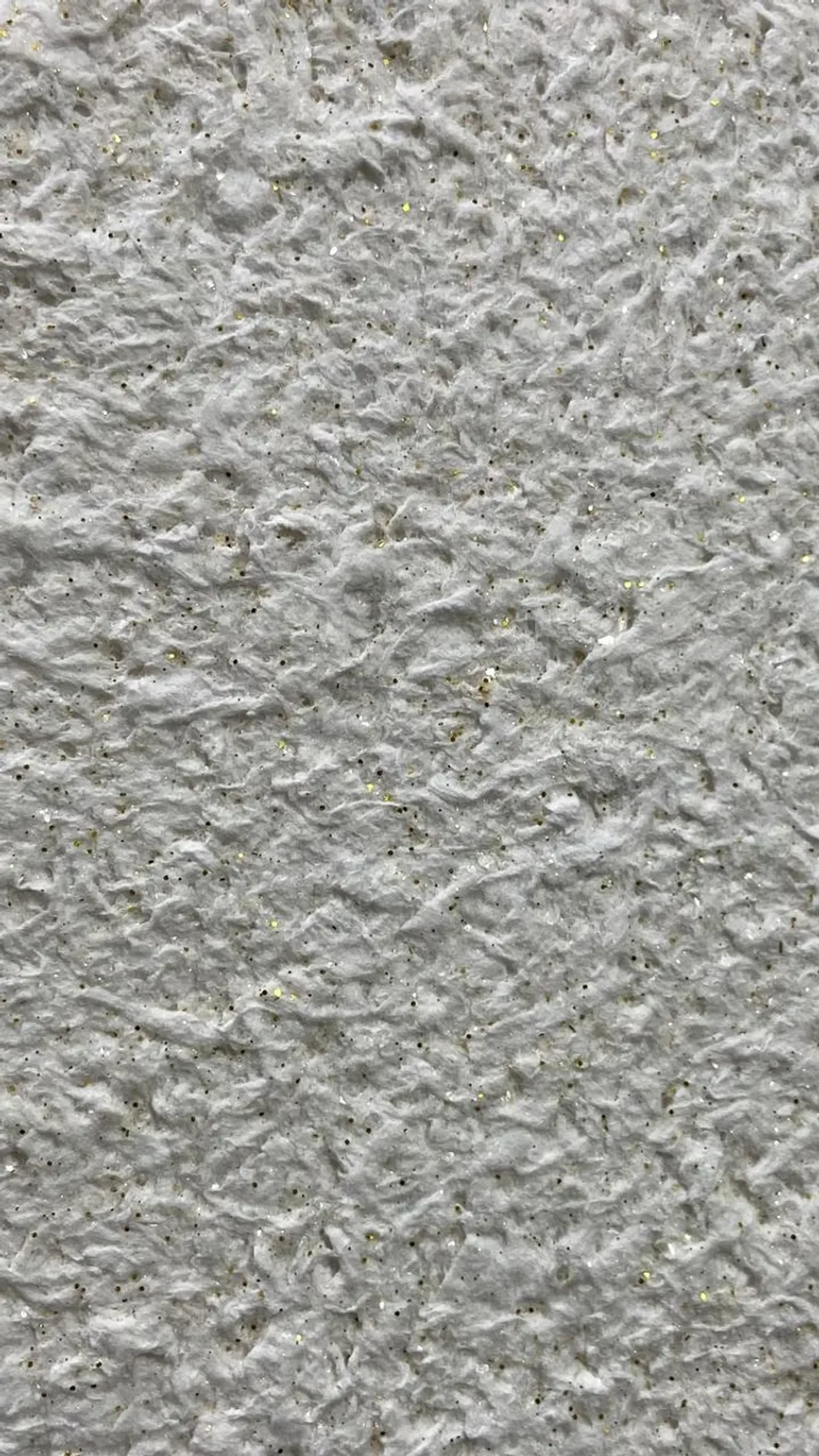 Papel de Parede Líquido - Classic 1200 imagem