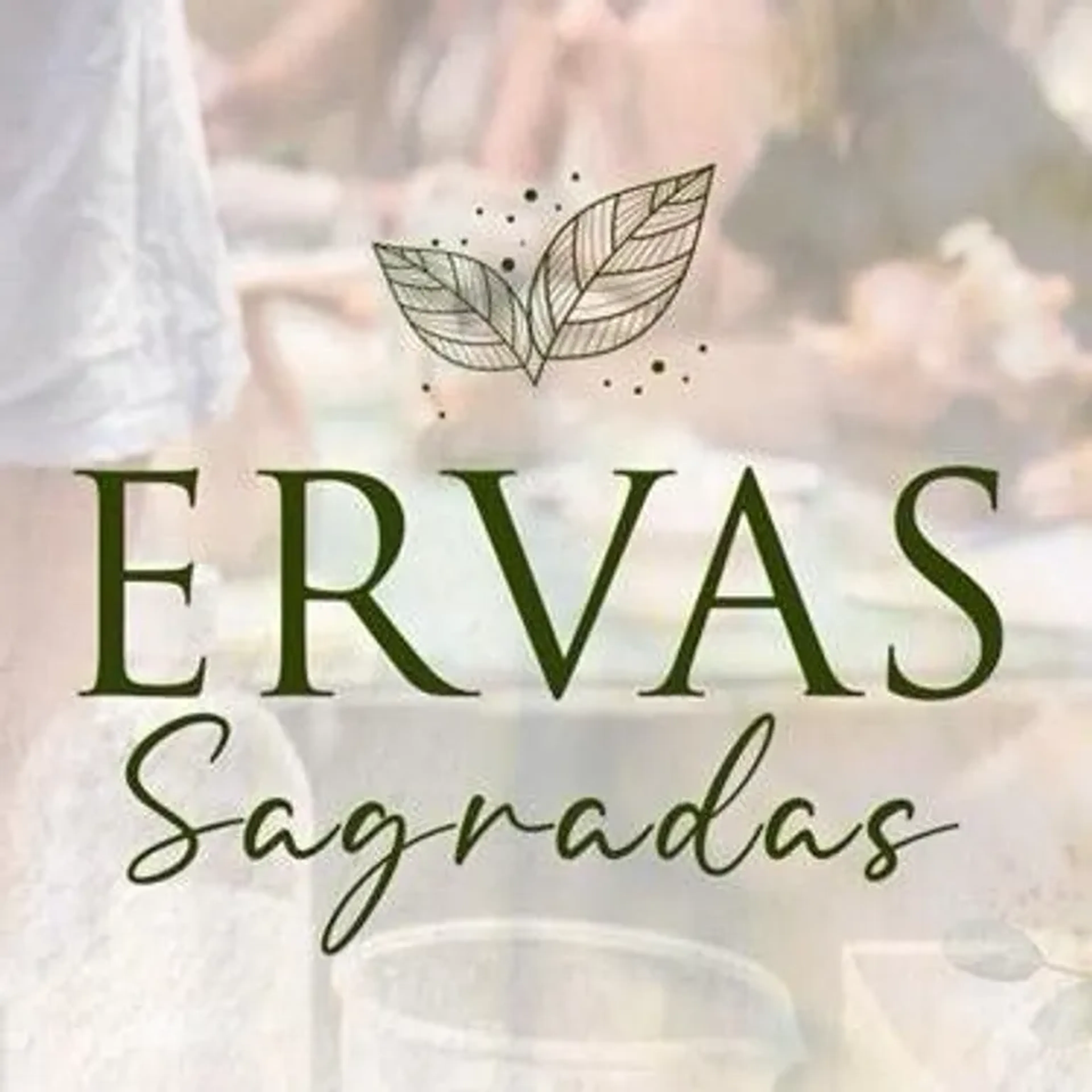 Curso Online Ervas Sagradas Completo imagem