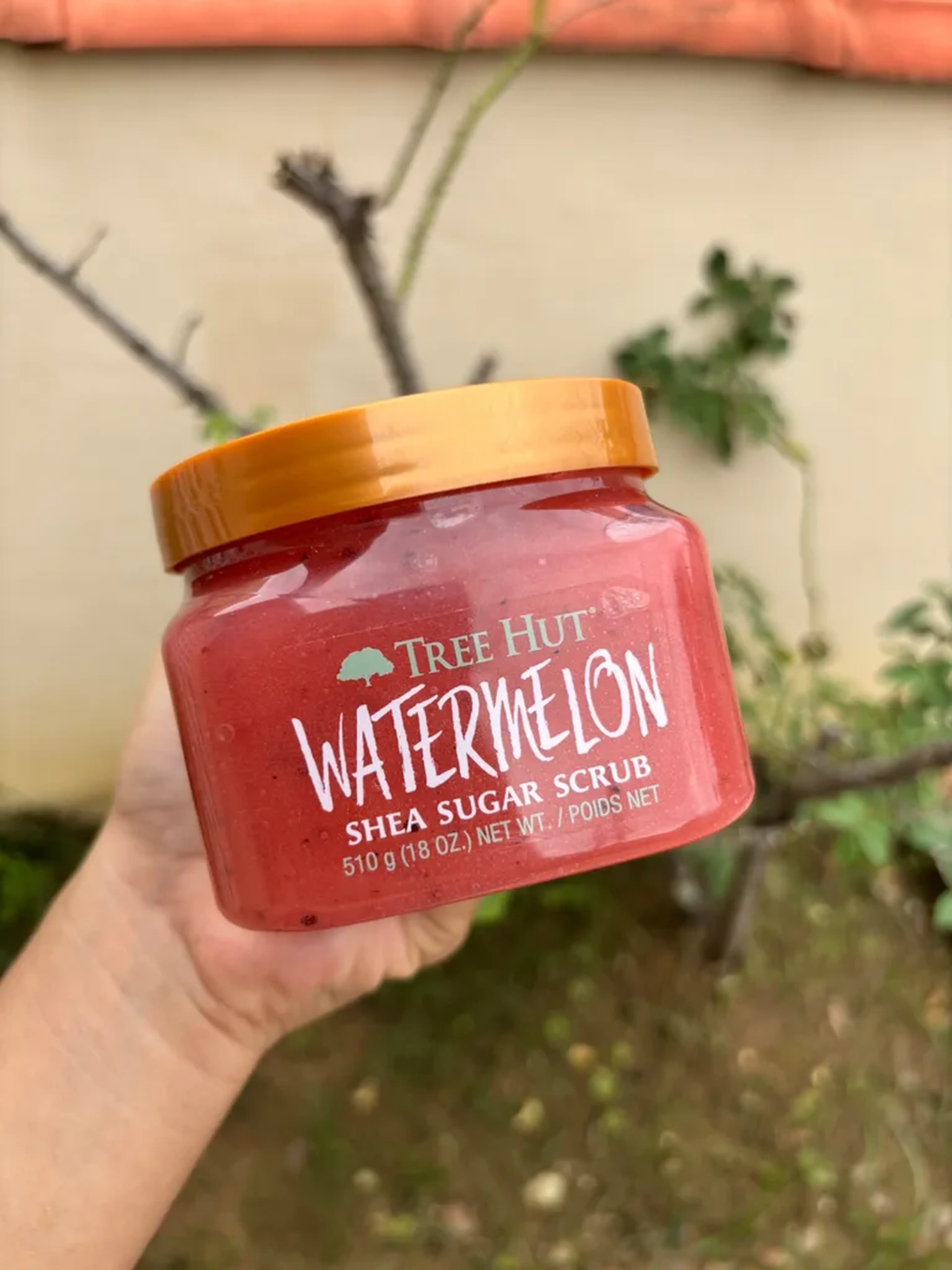 Esfoliante Tree Hut Watermelon imagem
