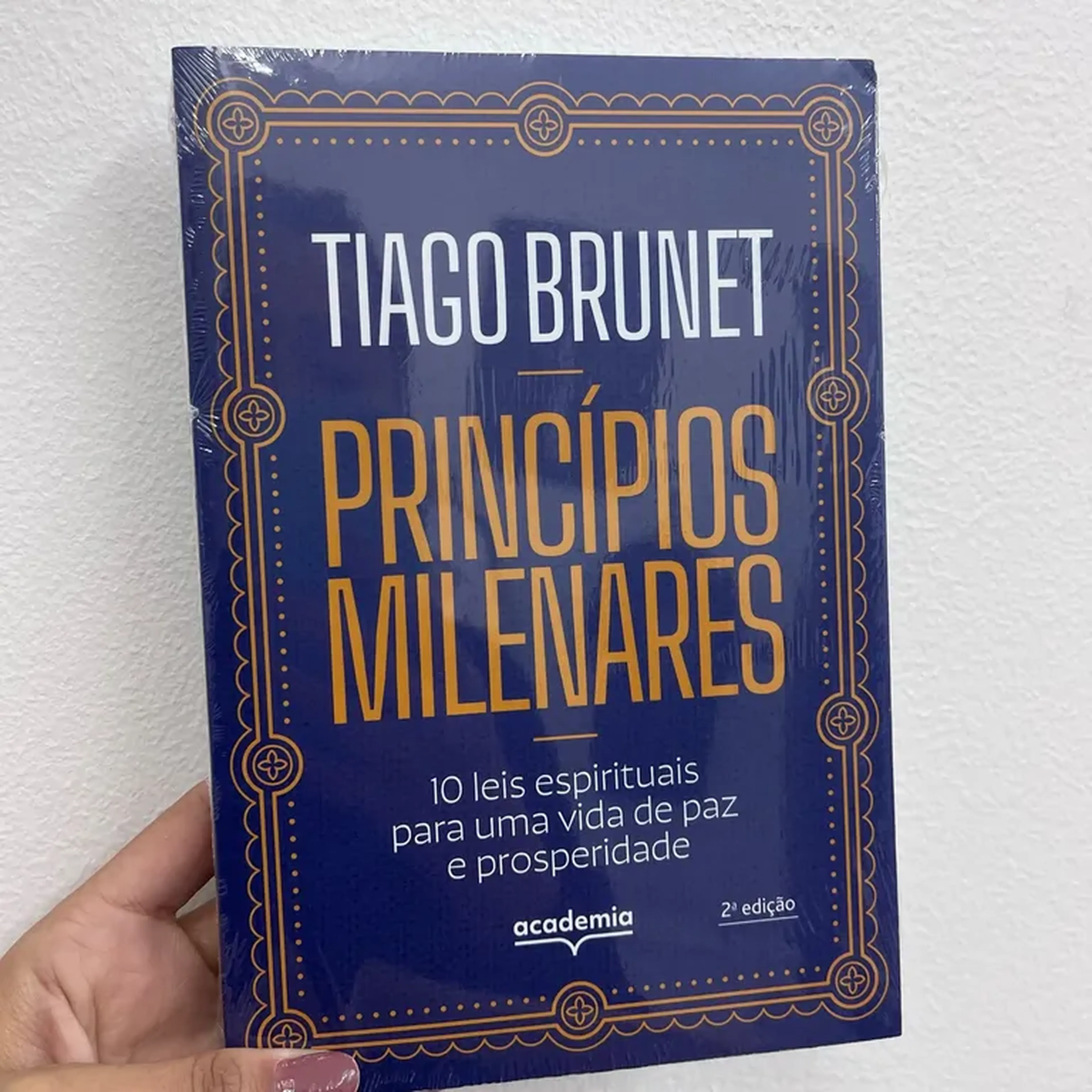 princípios milenares Tiago Brunet imagem
