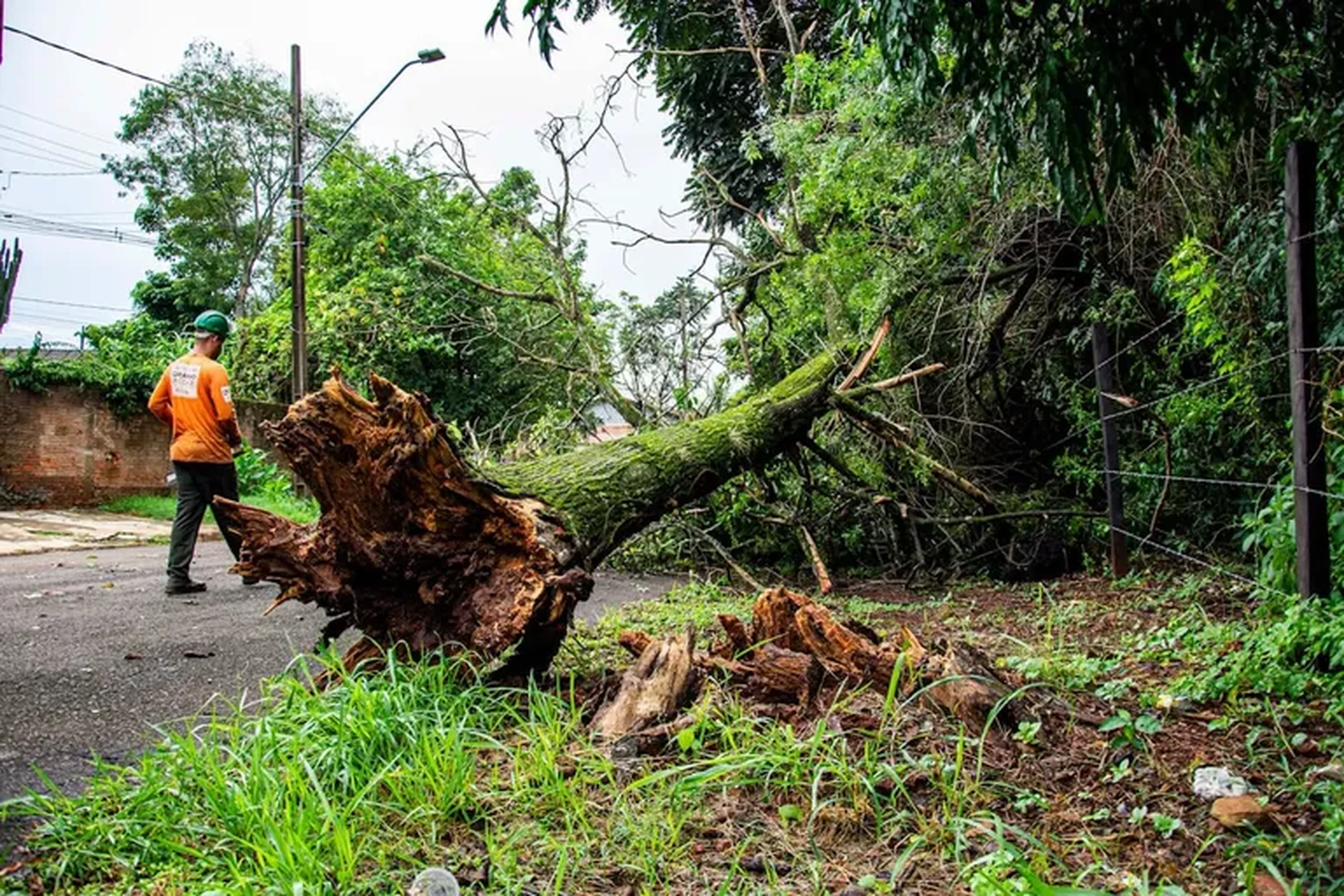 GRADUAÇÃO ACELERADA TECNÓLOGO EM GESTÃO AMBIENTAL imagem