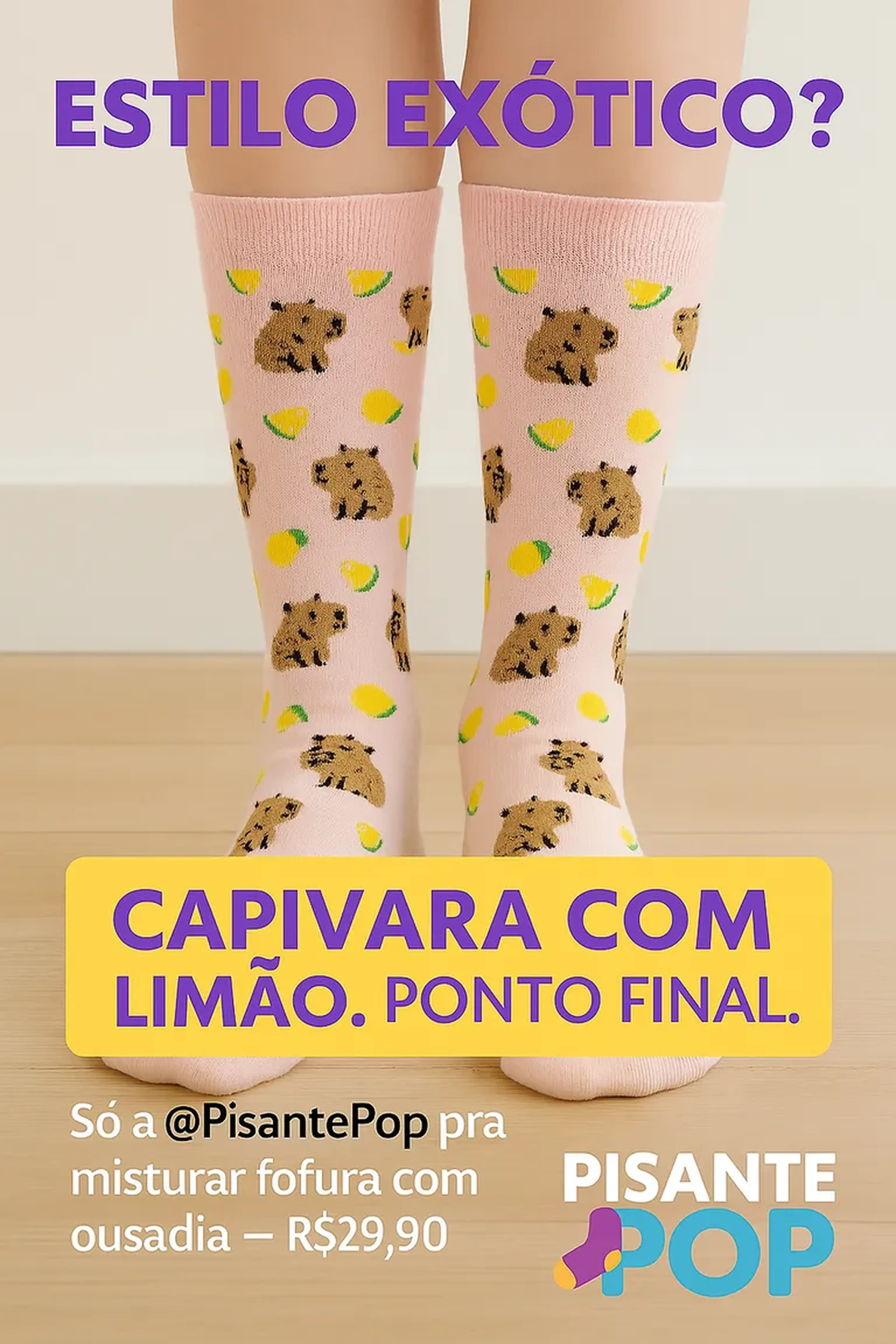 Meias divertidas capivara imagem