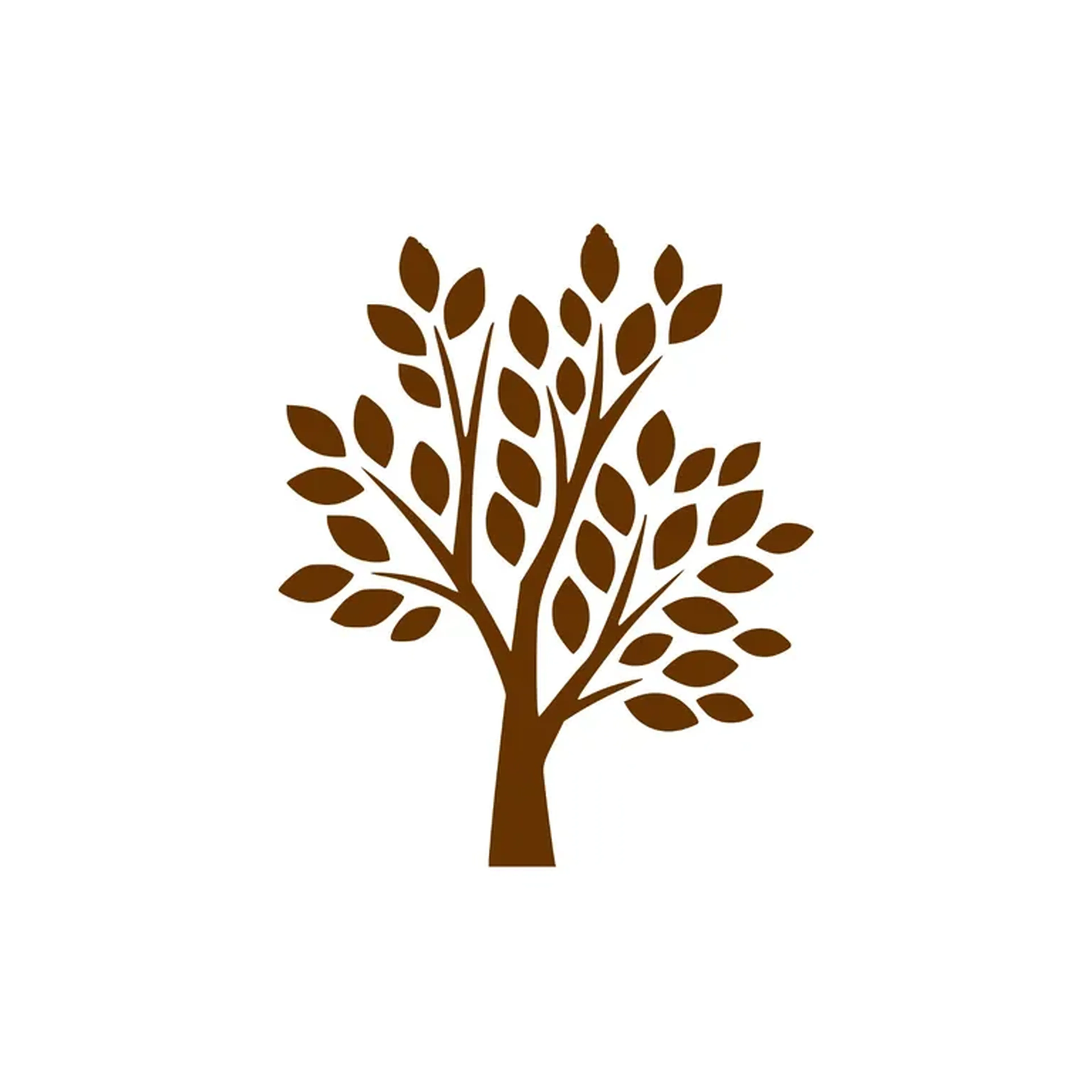 Mentoria Gi e Alex Fotografia imagem